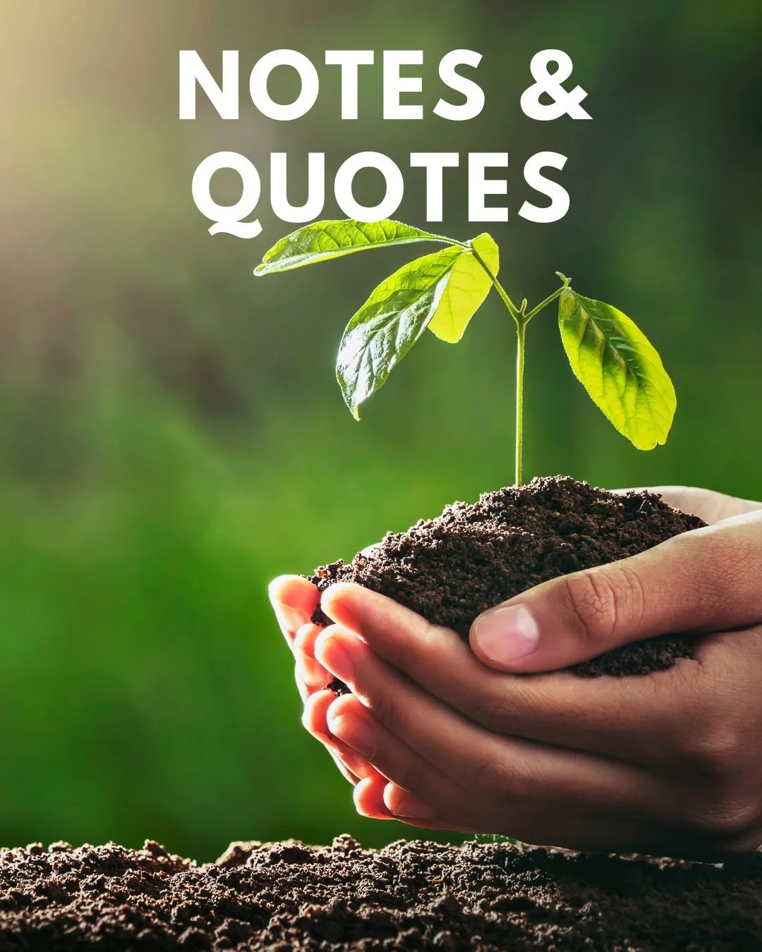 🌱 Stay informed with Notes &amp; Quotes. Our newsletter delivers timely articles, seasonal insights, and practical information on soil, crops, and livestock&mdash;straight to your inbox.
👉 Sign up today and don&rsquo;t miss an issue.