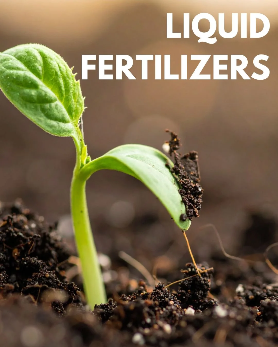 Your soil&rsquo;s waking up, give it something worth waking up for.

Fertrell&rsquo;s liquid fertilizers deliver fast-acting nutrients right where your crops need them most, helping jump start early growth and set the tone for the entire season.

Str