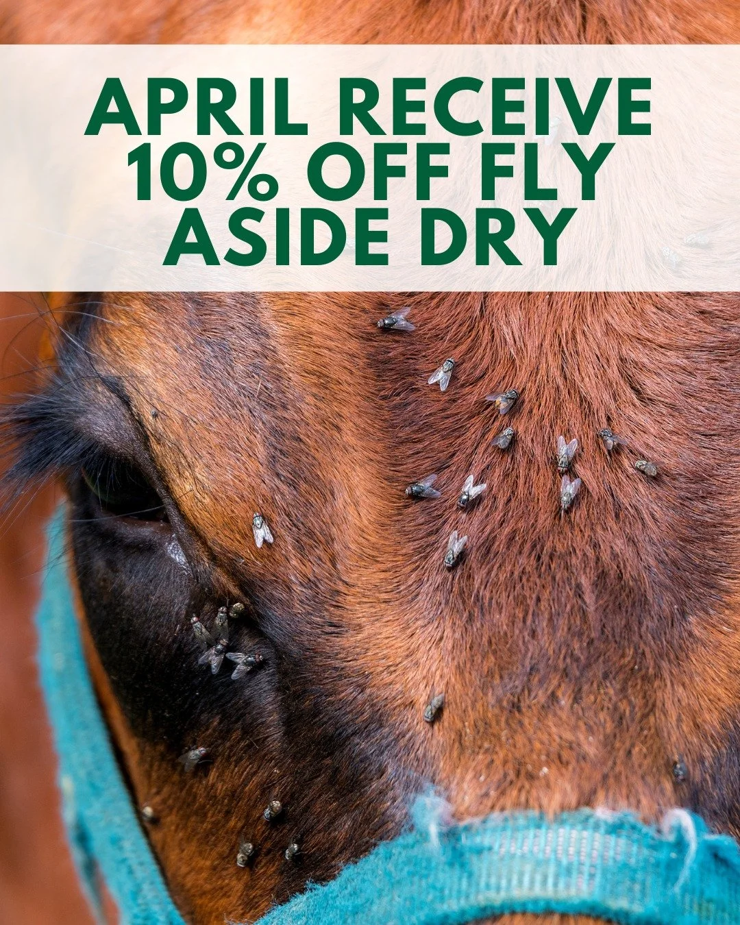 Flies aren&rsquo;t just annoying, they&rsquo;re a problem.

Fly Aside Dry helps manage pests at the source, creating a more comfortable, healthier environment for your animals.

Less stress. Better performance. Get 10% off 50lb bags of Fly Aside Dry 