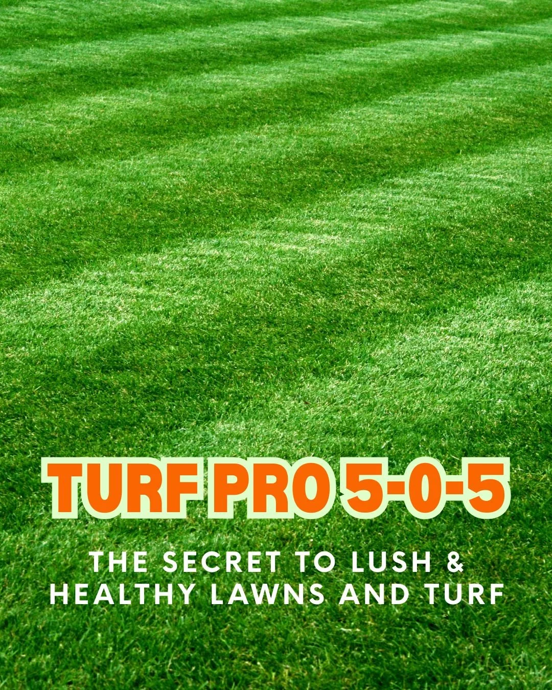 Lush lawns, happy roots. Turf Pro 5-0-5 is your go-to for thick, vibrant turf, season after season. Perfect for spring through fall applications! https://www.fertrell.com/turf-pro