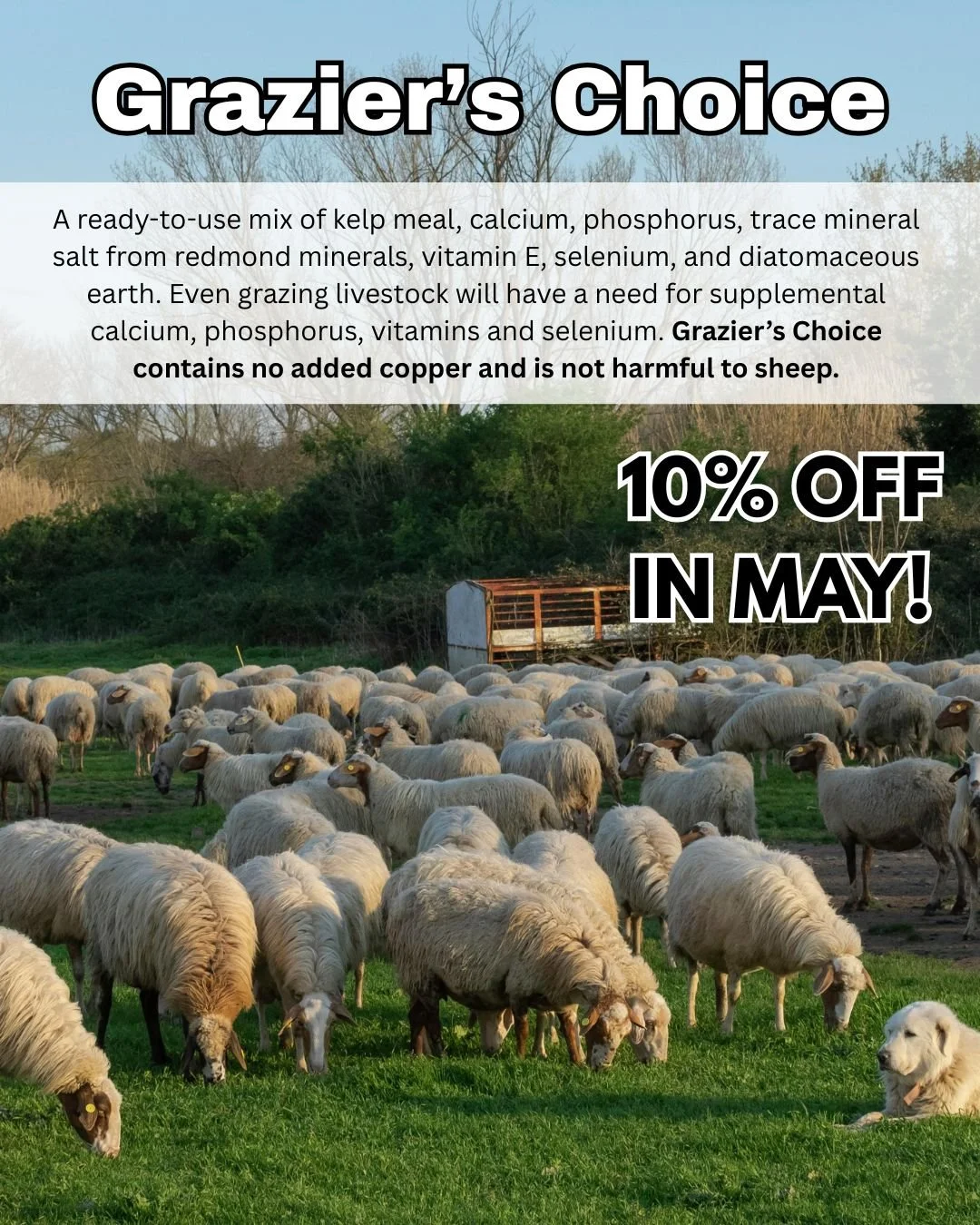 Now through the end of May, get 10% off Grazier&rsquo;s Choice 50# bag, safe for sheep and trusted by farmers. https://www.fertrell.com/graziers-choice