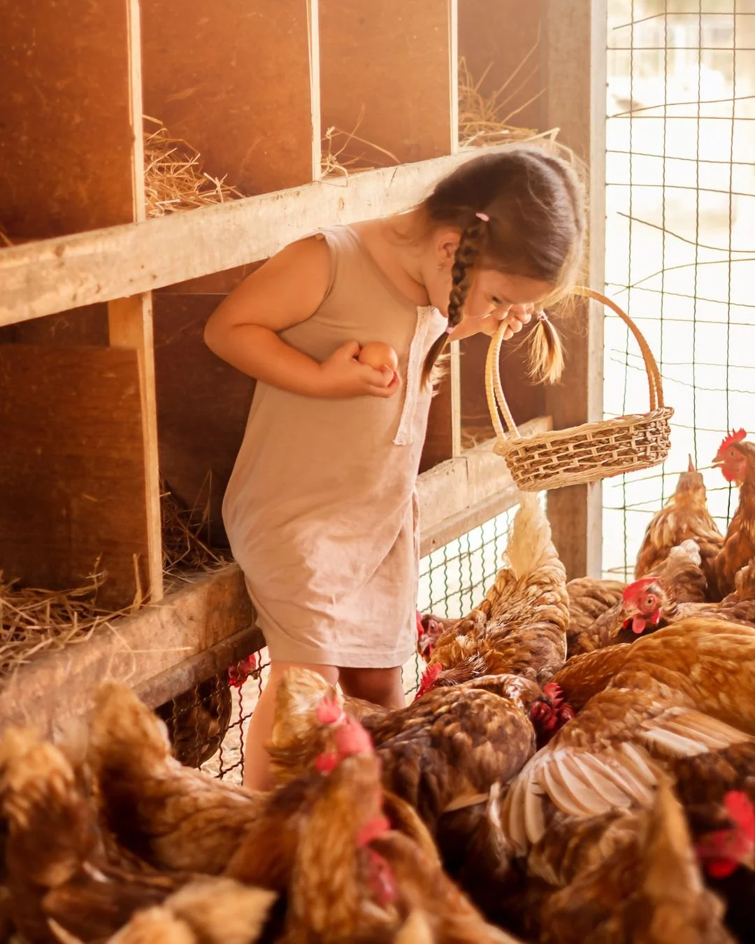 Be sure to tune in tonight to the Ask APPPA Q&amp;A! Feel free to chime in with any and all poultry-related questions. The call is open to anyone who can use a telephone and navigate time zones, so set your reminder and join us from 8pm to 9pm Easter