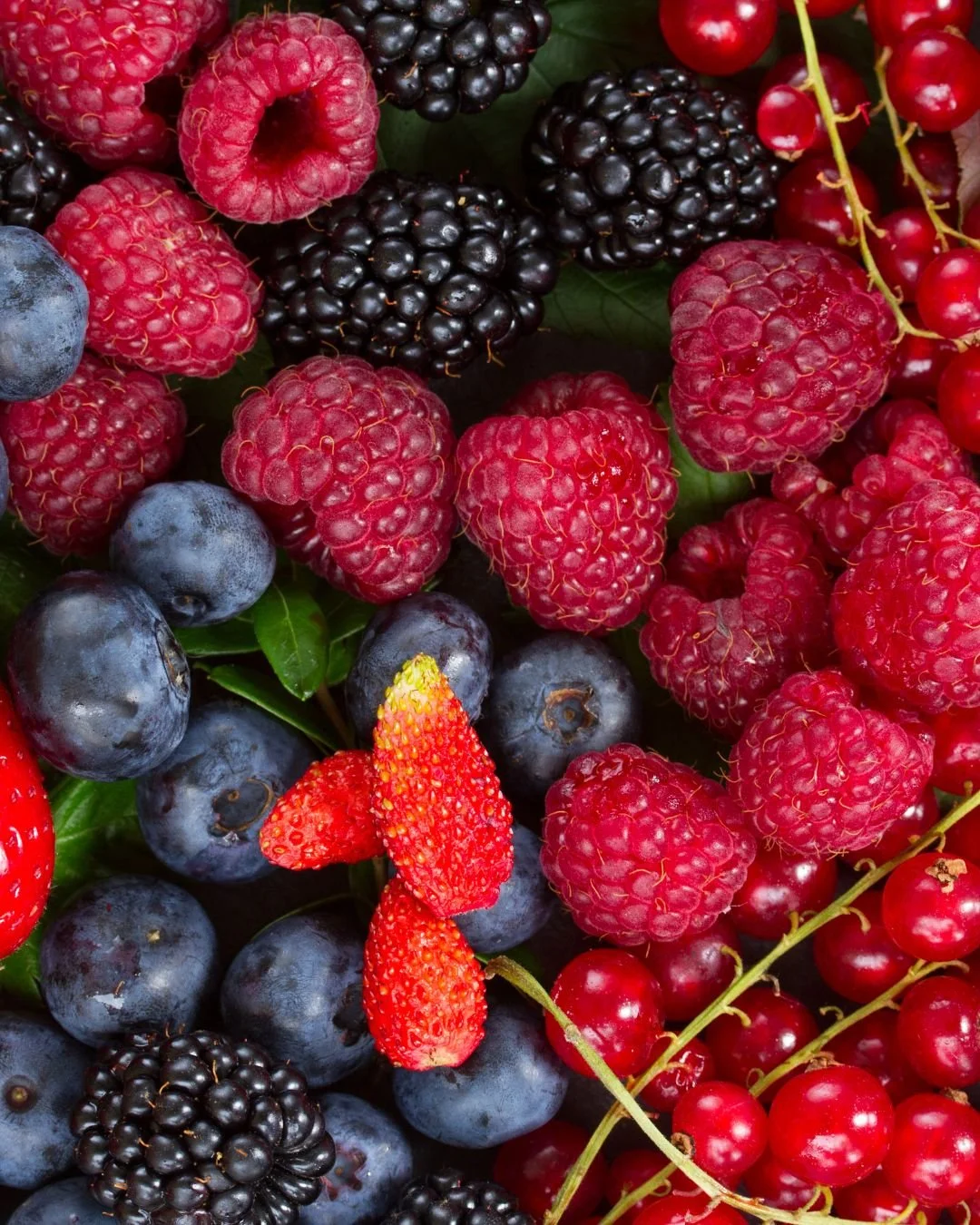 Support strong berry growth with Berry Mix 4-2-4
👉 https://www.fertrell.com/berry-mix-424