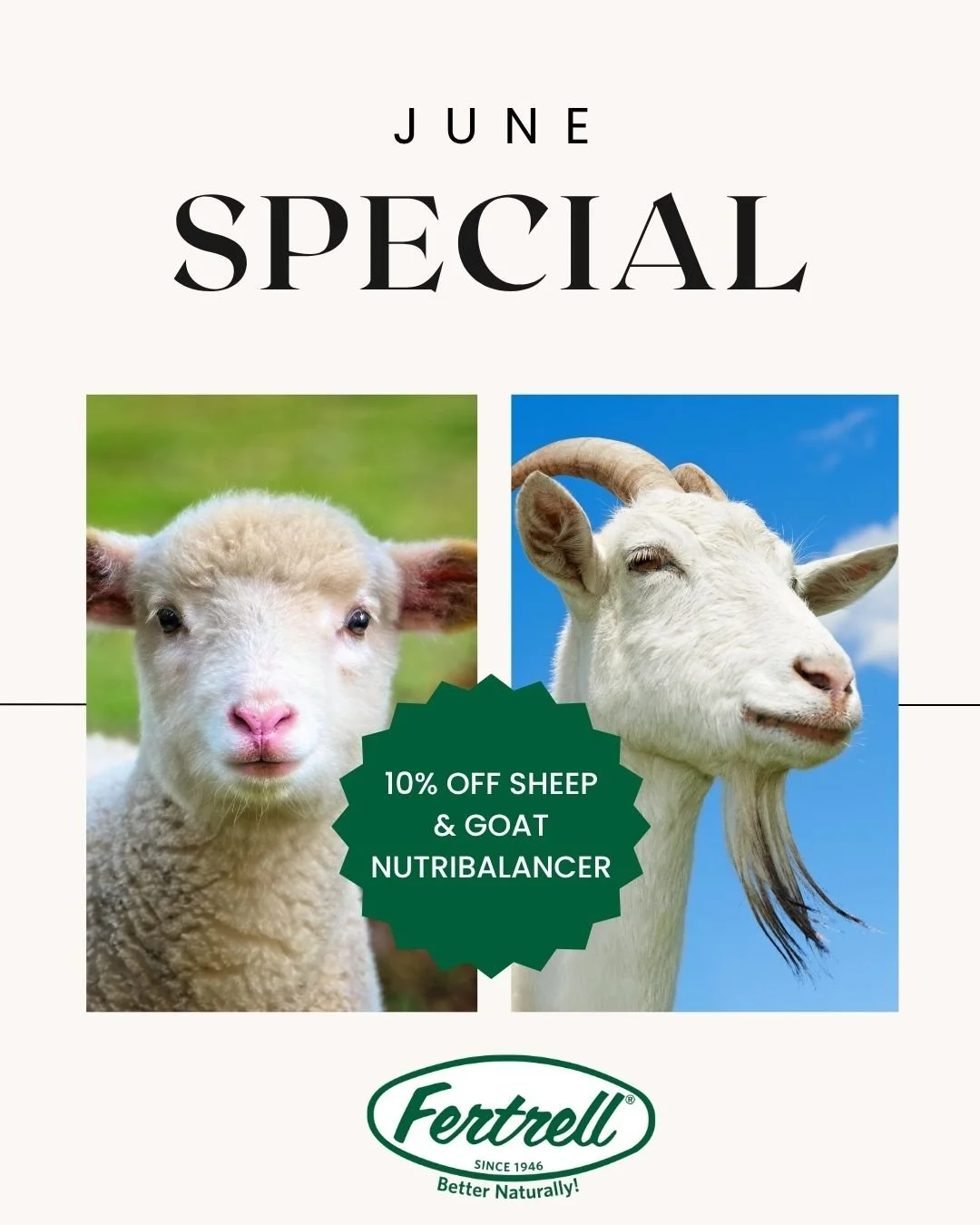 June Special &mdash; 10% off Sheep and Goat Nutri-Balancers

🐑🐐 Save 10% all month long on our Sheep and Goat Nutri-Balancers 50 lb bags. 
Happy animals, happy farm. 

https://loom.ly/SYSxx0w