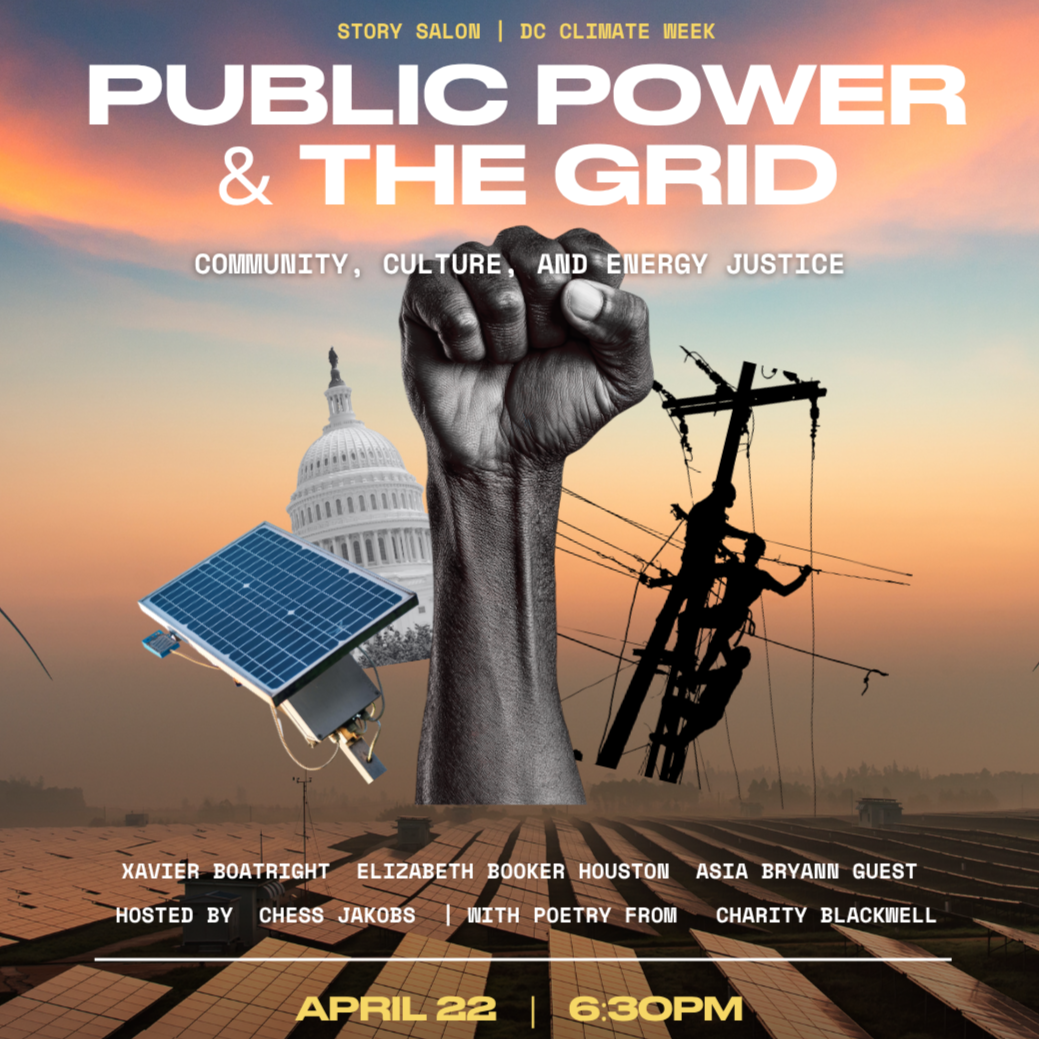 Public Power and The Grid