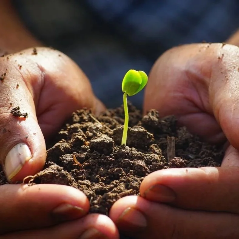 Spread the Gospel; plant Lutheran churches; show mercy.