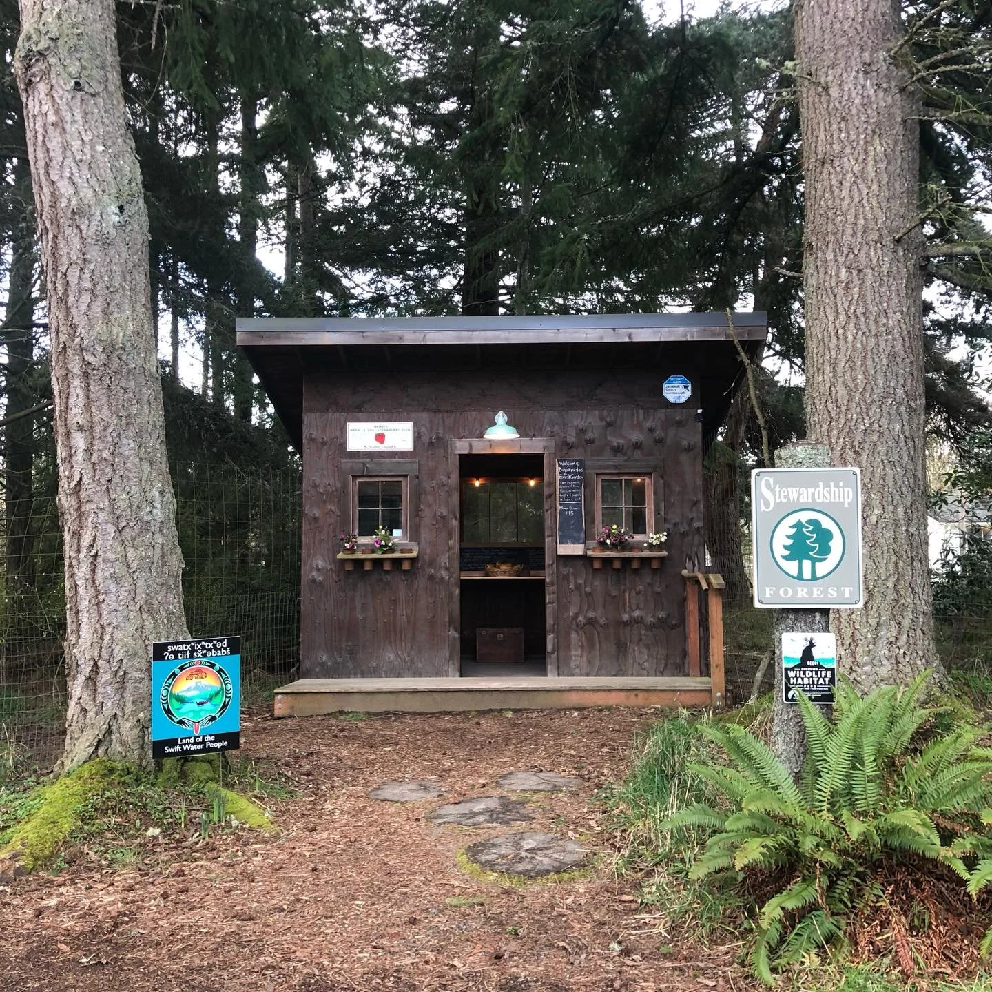 The farmstand is open! Carrots, Delicata winter squash and flowers with greens coming midday. 

#vashonfarmstands #vashonisland #certifiedorganicfarm