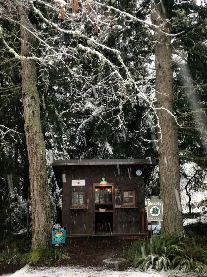 Snow day! In the farm stand on foot or when roads are safe: Carrots and kale. It&rsquo;s still winter! 

#vashonisland #snowyfarmstand #winterfarm