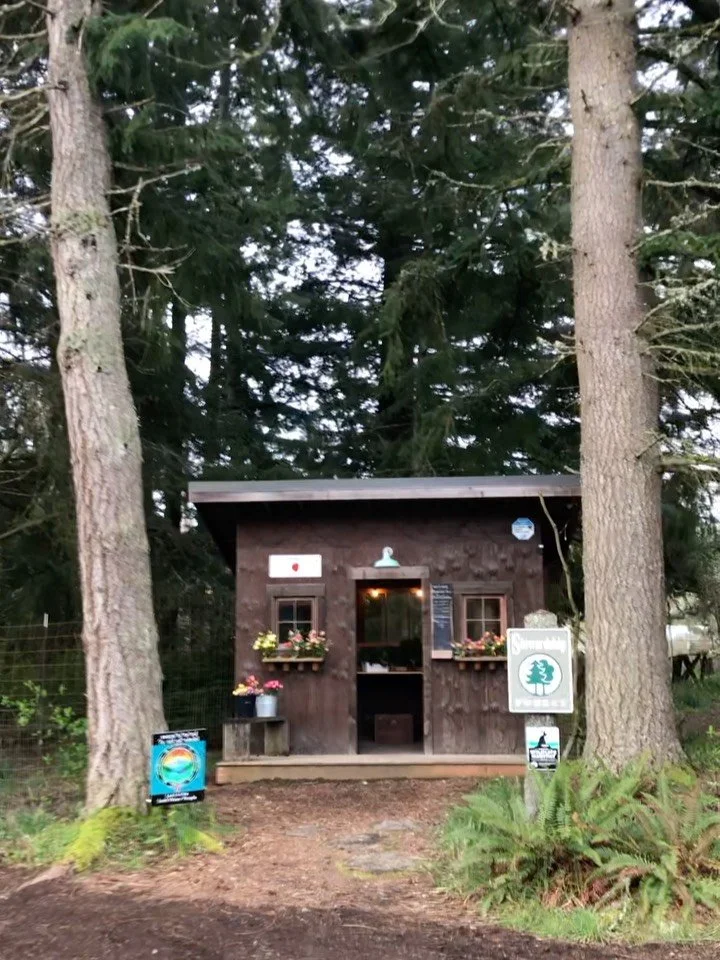 Restocking spring flowers this weekend plus kale, rainbow chard, celery, radicchio and raab in the farmstand this cloudy spring Friday. 

And we&rsquo;re one of the Vashon farmstands distributing VIGA Farm Bucks on first Fridays. If you need help buy