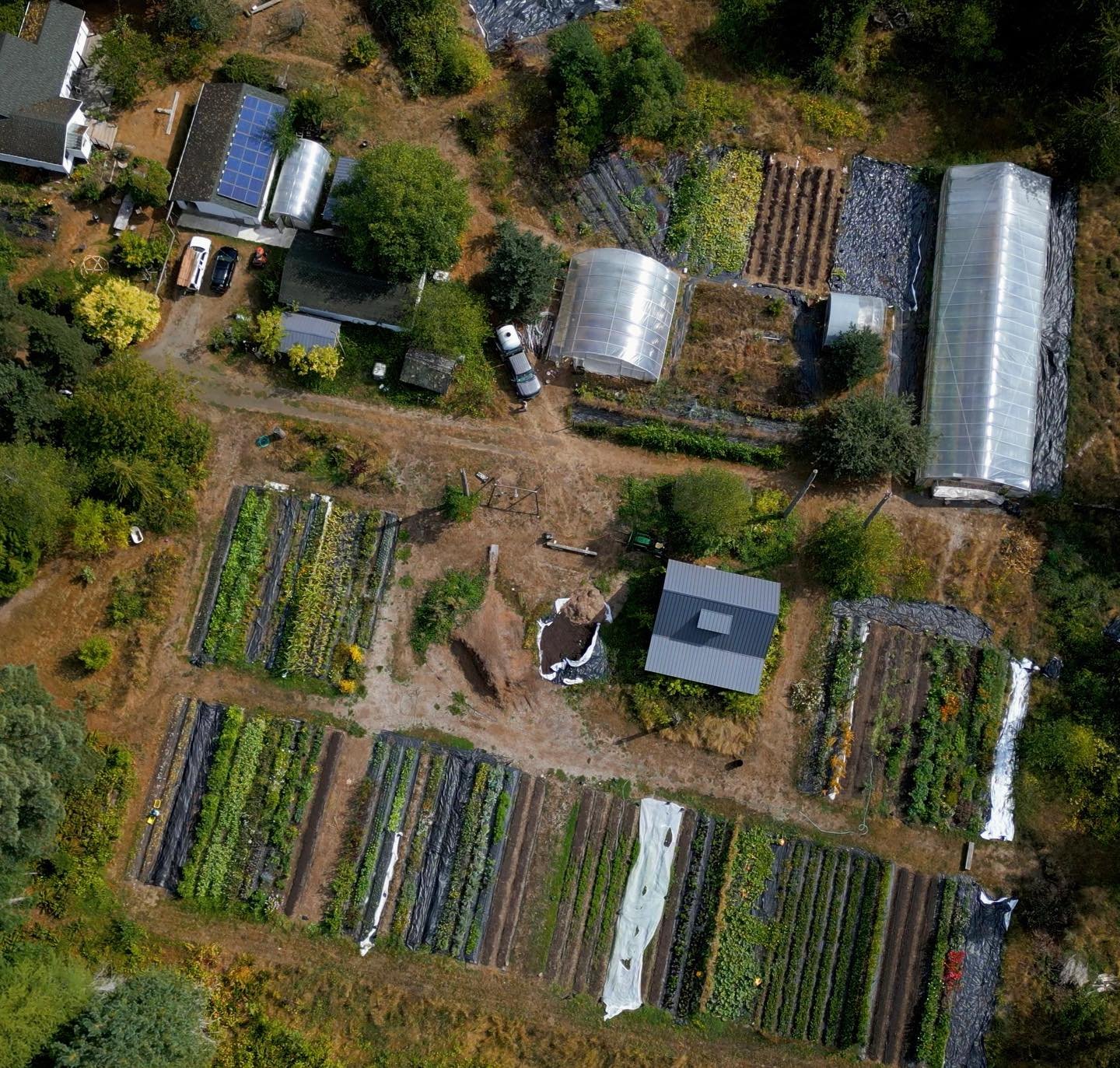 We&rsquo;re hiring! Forest Garden Farm is looking for a part time farm co-worker to help us mornings Tues-Fri to harvest produce and flowers, plant, amend beds and prep product for sale. 

Want to learn about small scale regenerative farming while sp