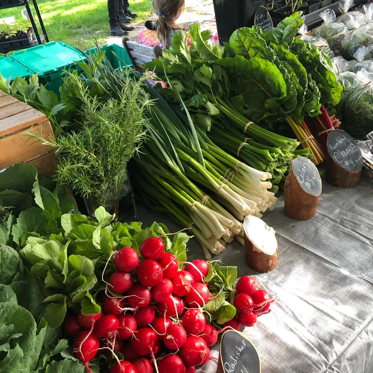 All set up at the first @vashon_farmersmarket ! 

#vashonisland #certifiedorganicfarm