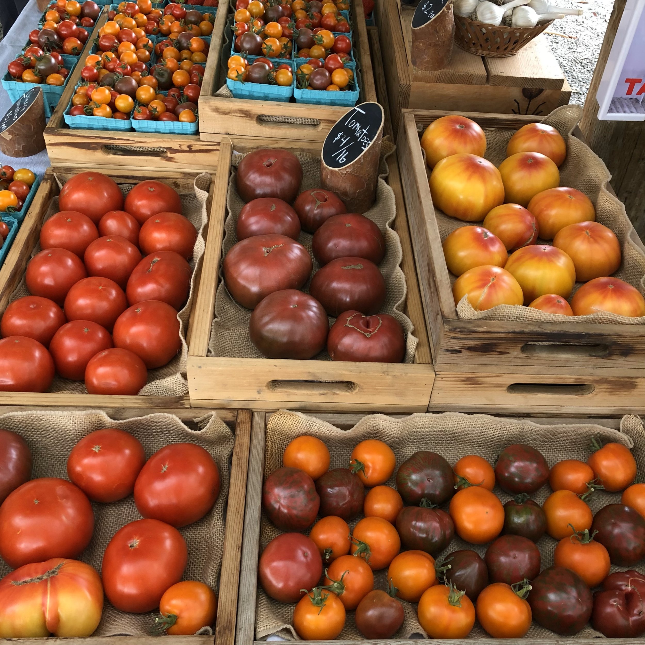 TomatoesatMarket.jpg