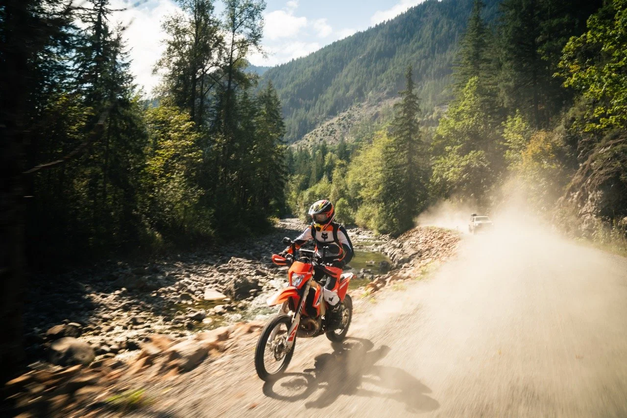 IMG_6011 2 Large.jpeg