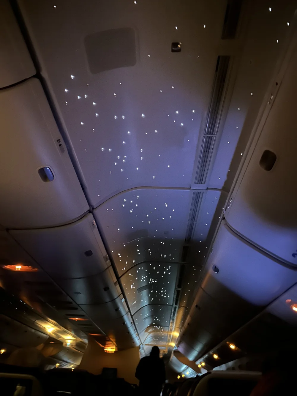 Beautiful Details Inside IndiGo Aeroplane