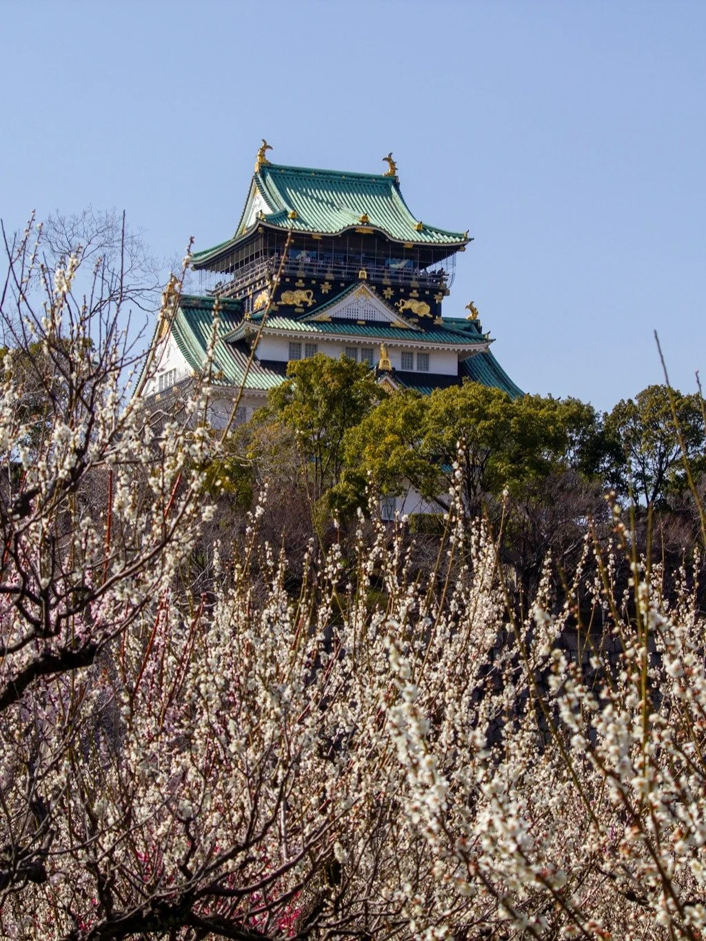 The Only Guide You Need To Travel Osaka Picture 2.jpeg