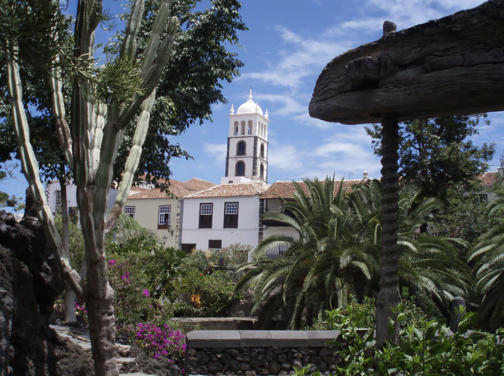 draco tree tenerife icod.png