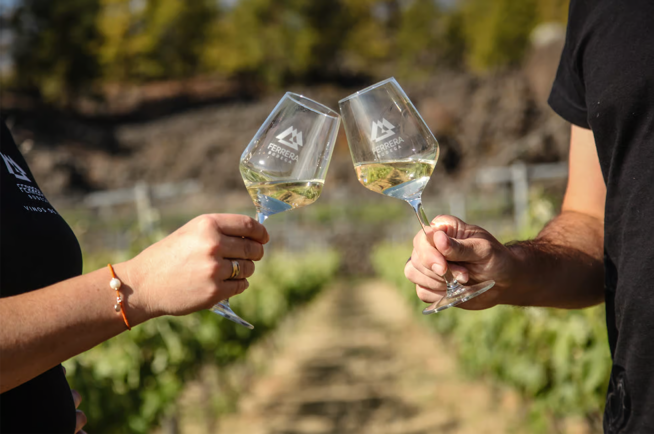 wine cheer on vineyard in tenerife.png