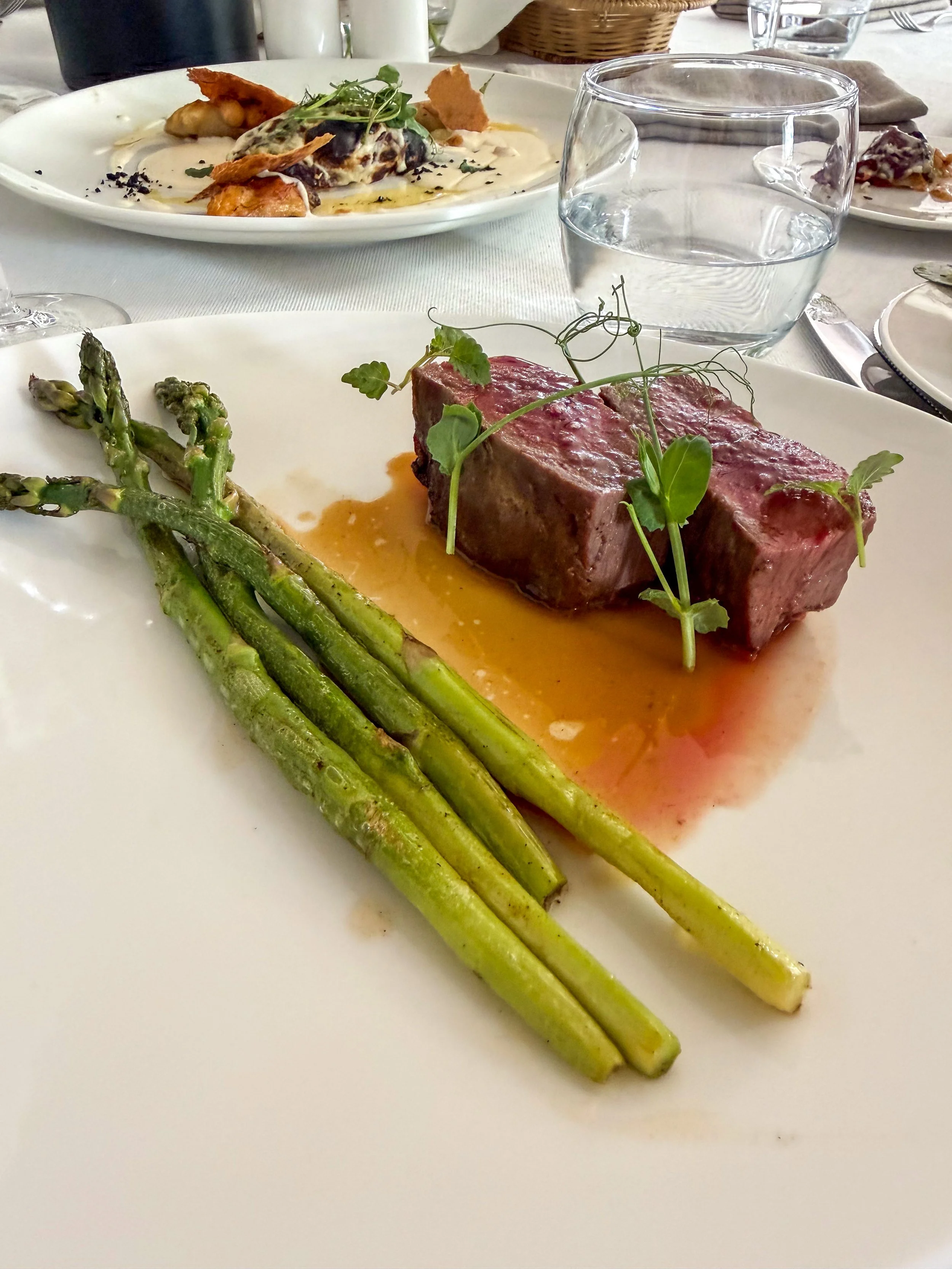 La Terrasse Varna bison steak and local wine