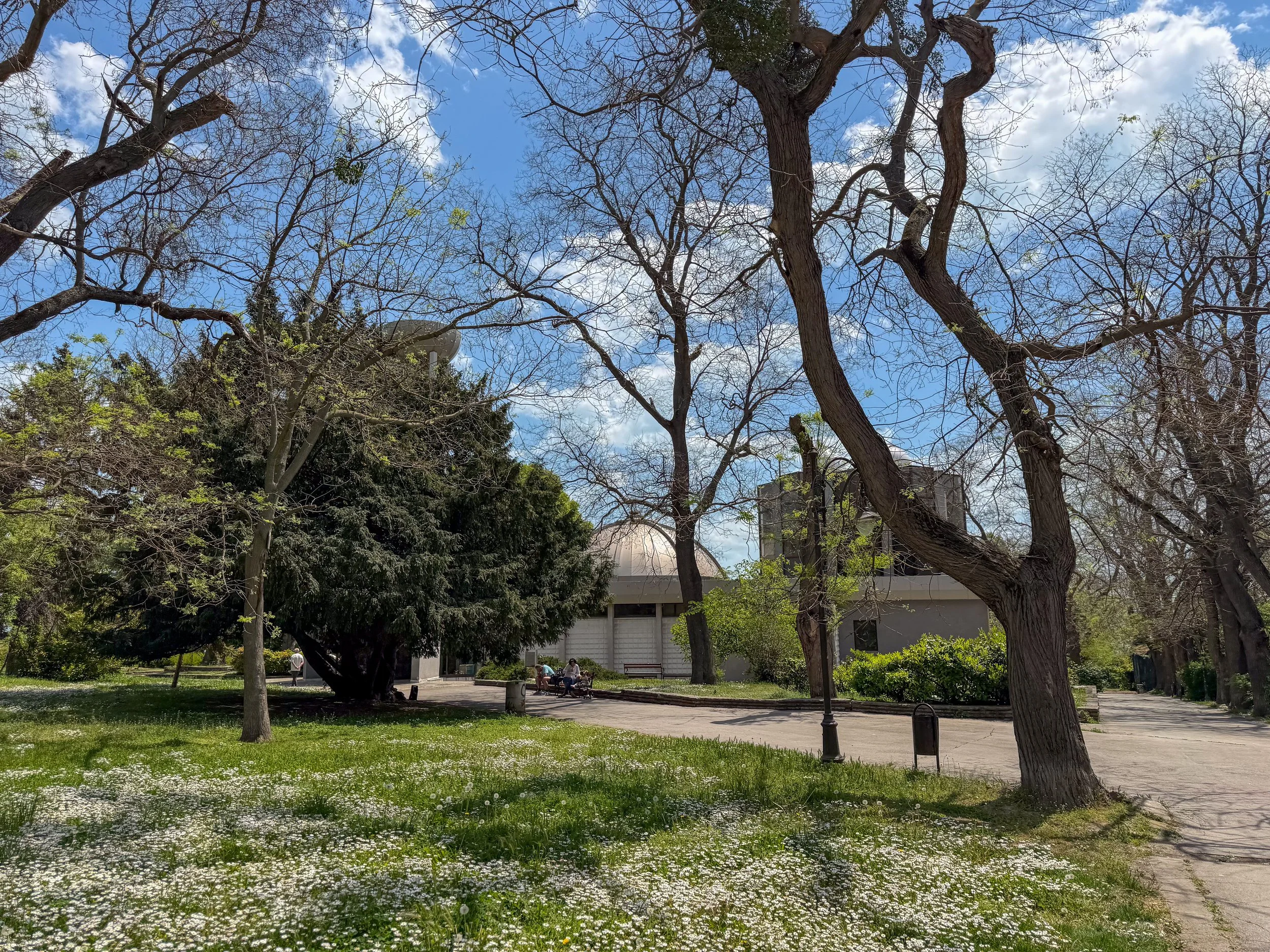 Varna Sea Garden surrounded by tall trees
