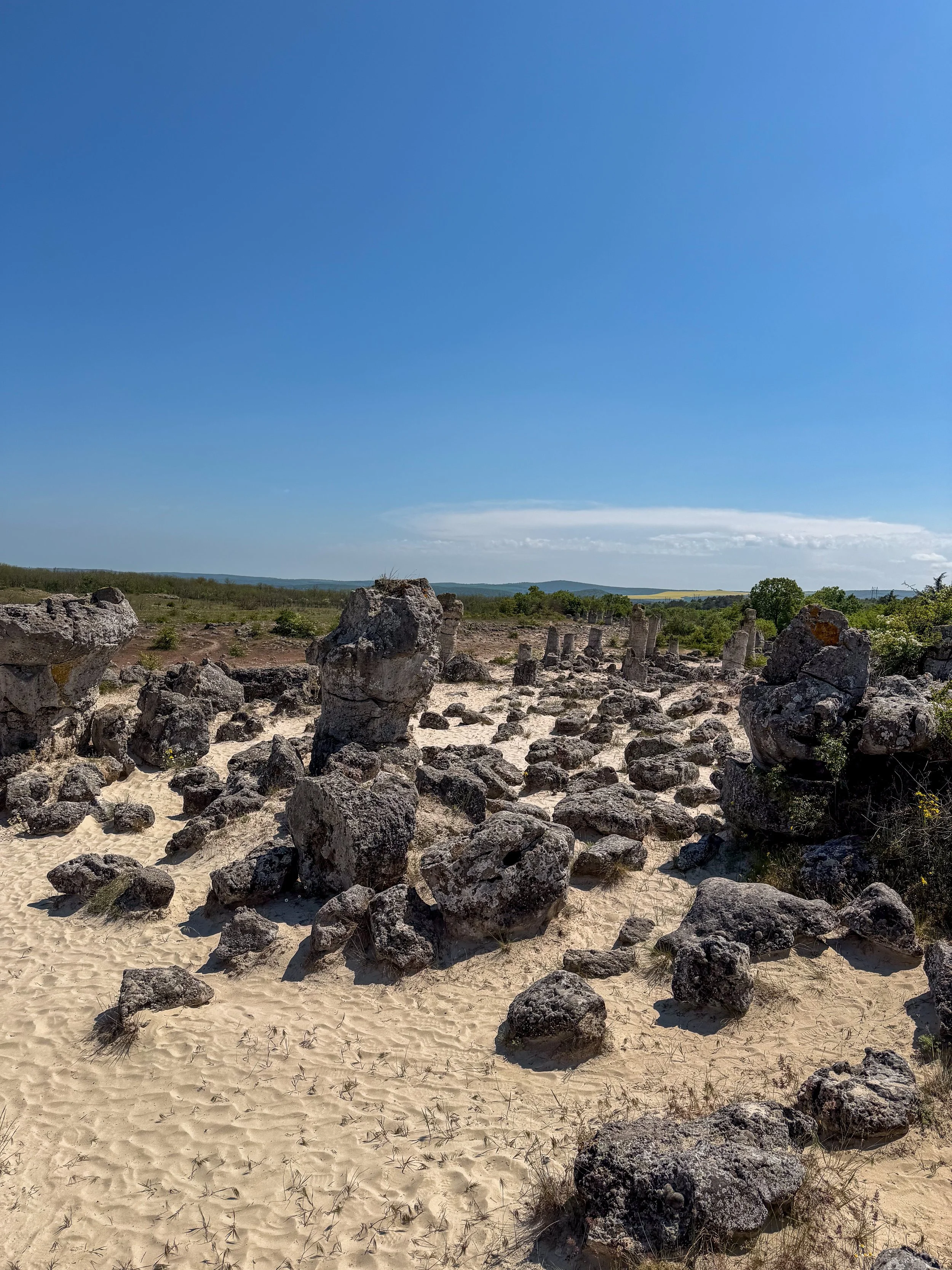 Many different rock formations at the Stone Forest, Varna, Bulgaria