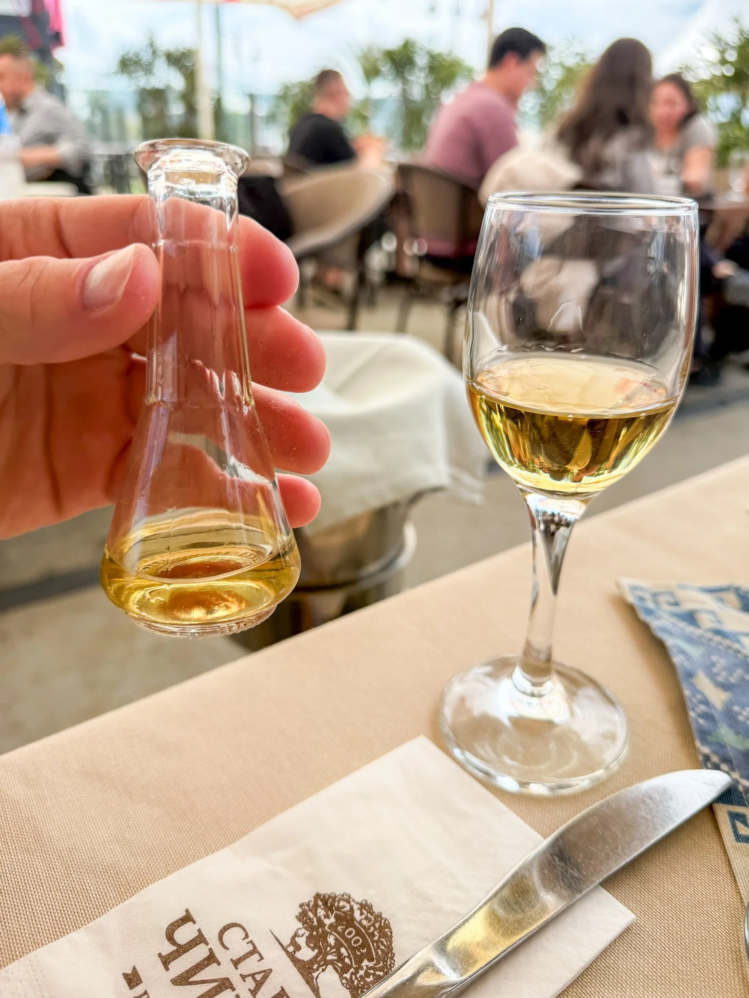 Rakia Bulgaria's famous fruit brandy, Plum Rakia, Varna, Bulgaria.jpg