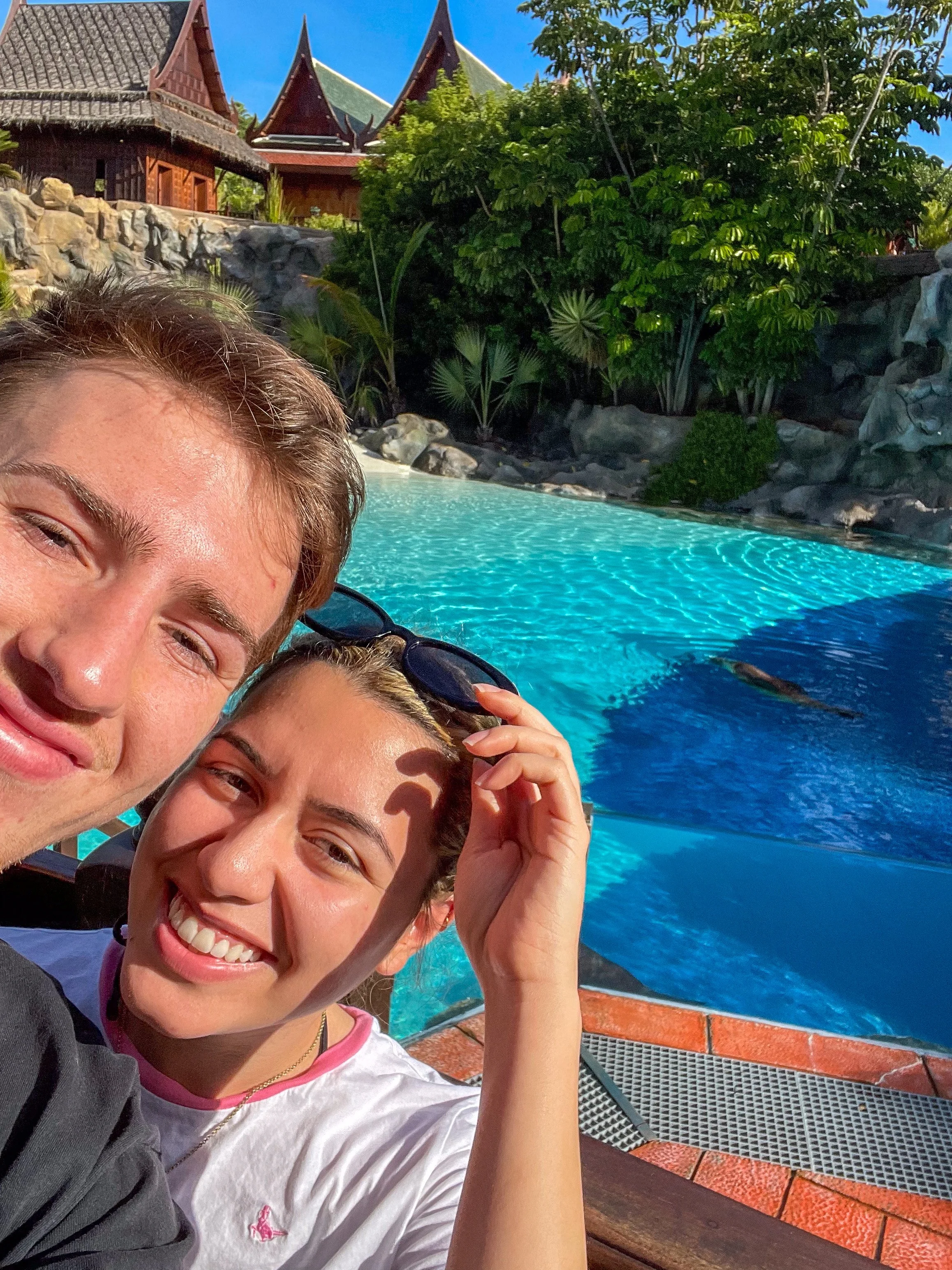 Carol and Max seals in Siam Park, Tenerife.jpg