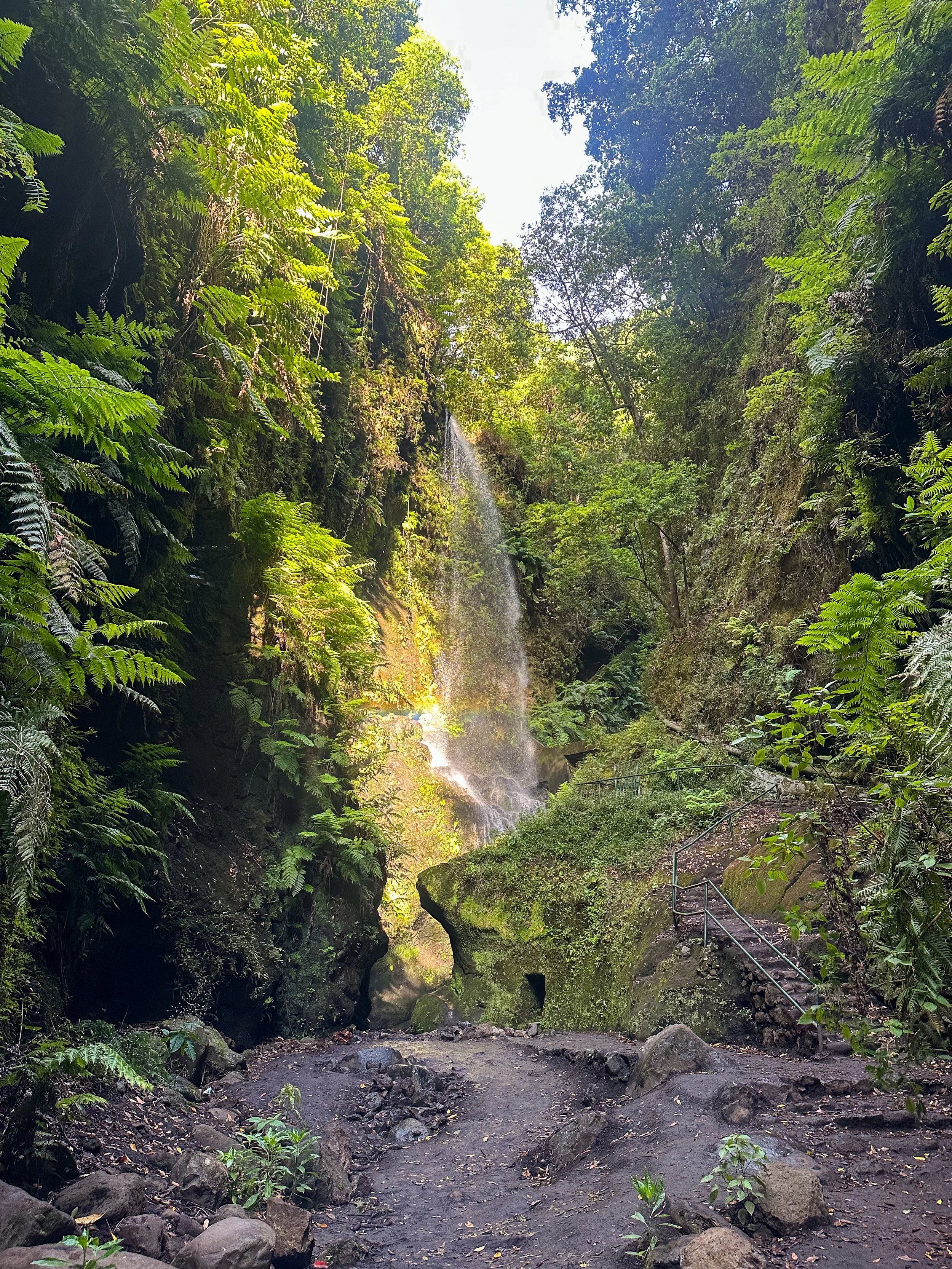 Los Tilos Waterfall in La Palma.jpg