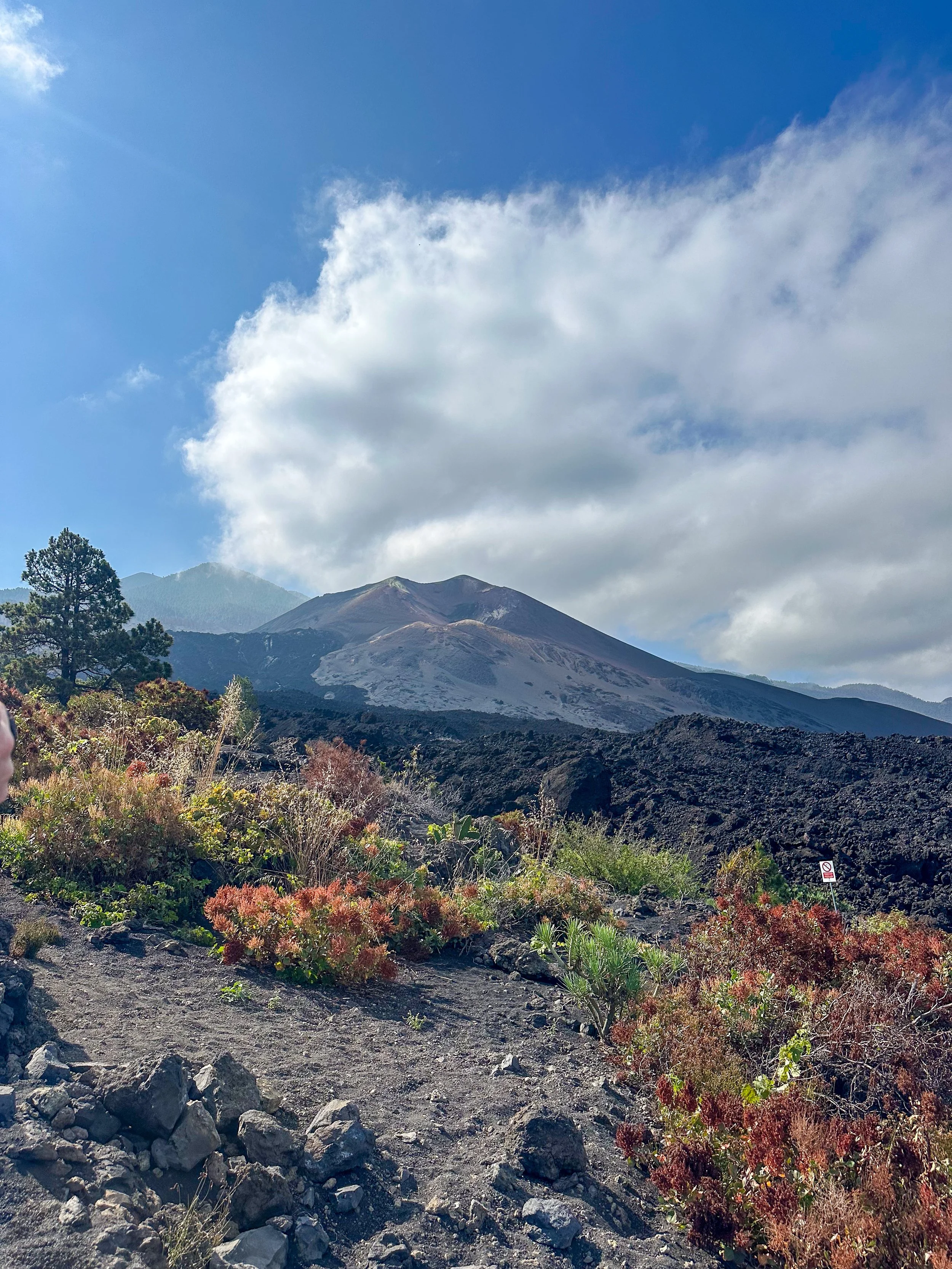 Views of volcano of Tajogaite in La Palma.jpg