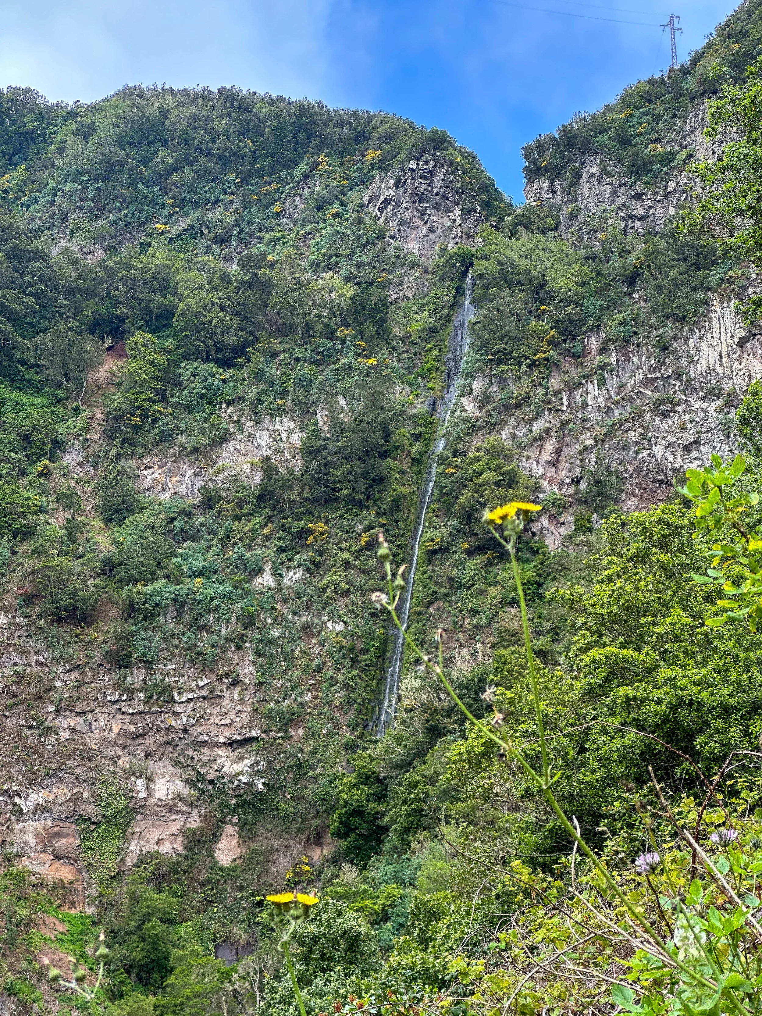 El Cedro Waterfall in La Gomera