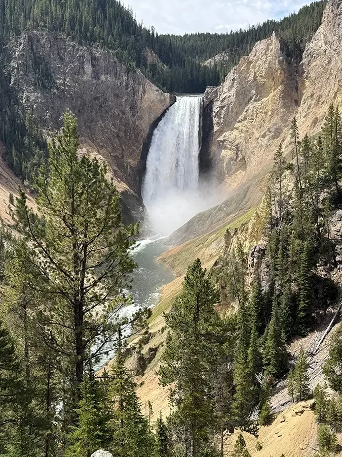 Yellowstone Falls