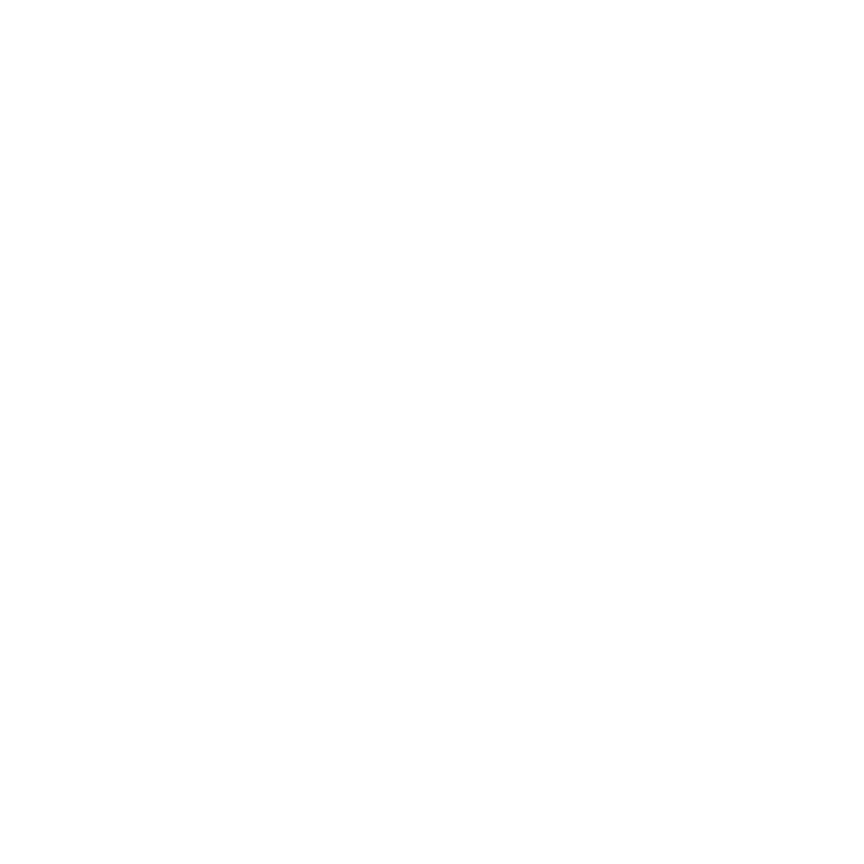 Healthcare shield, insurance icon
