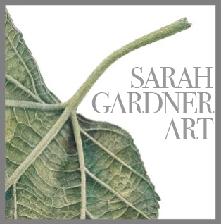 SARAH GARDNER ART