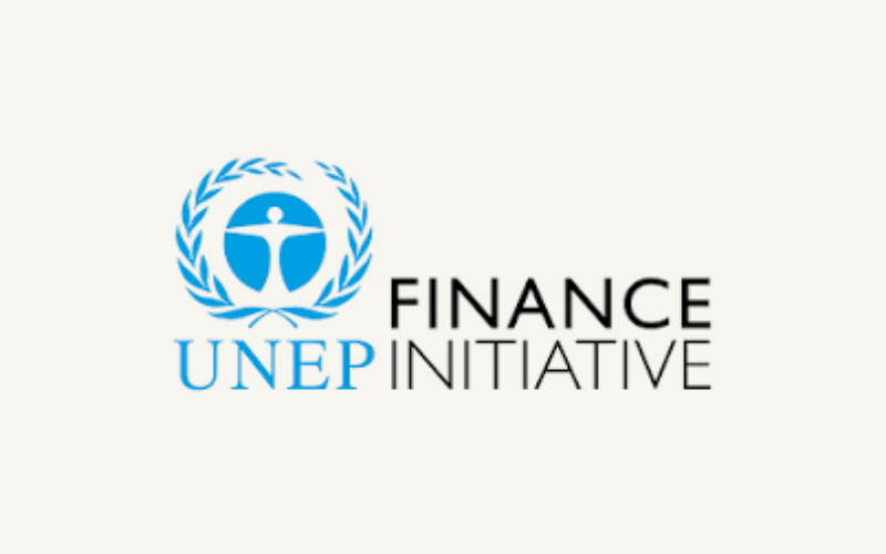   Financing Social Impact