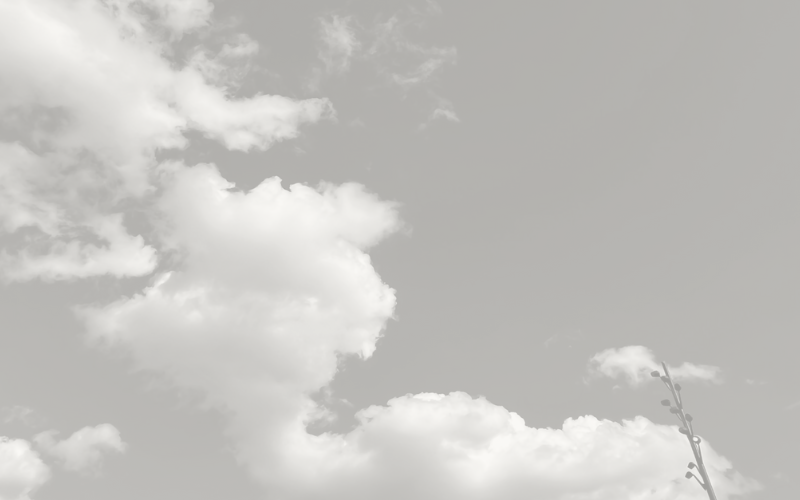 Nonprofit mergers and alliances: an overlooked tool in leadership succession