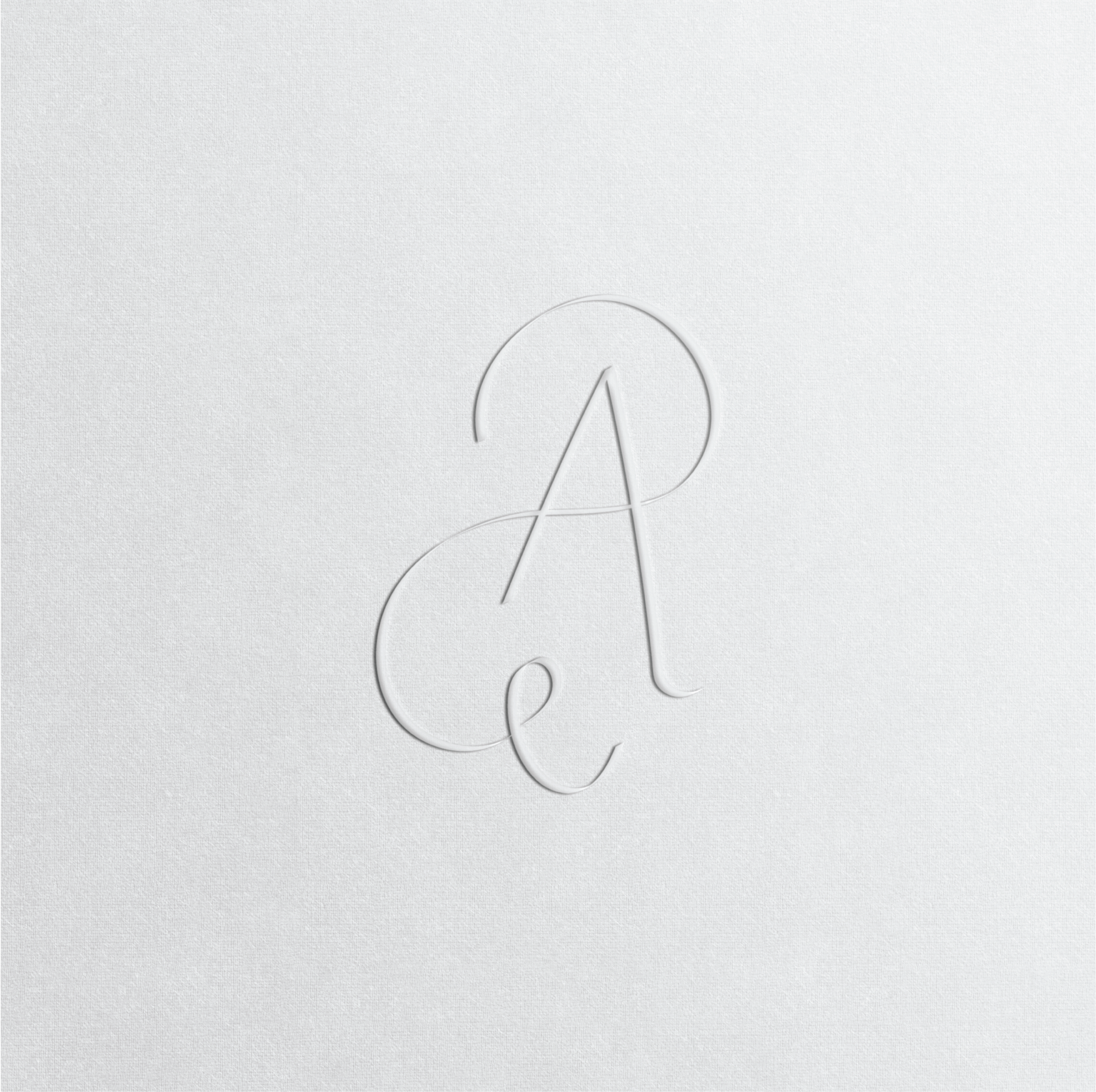 AcellseBranding(Capstone)_Icon Logo Mockup.png