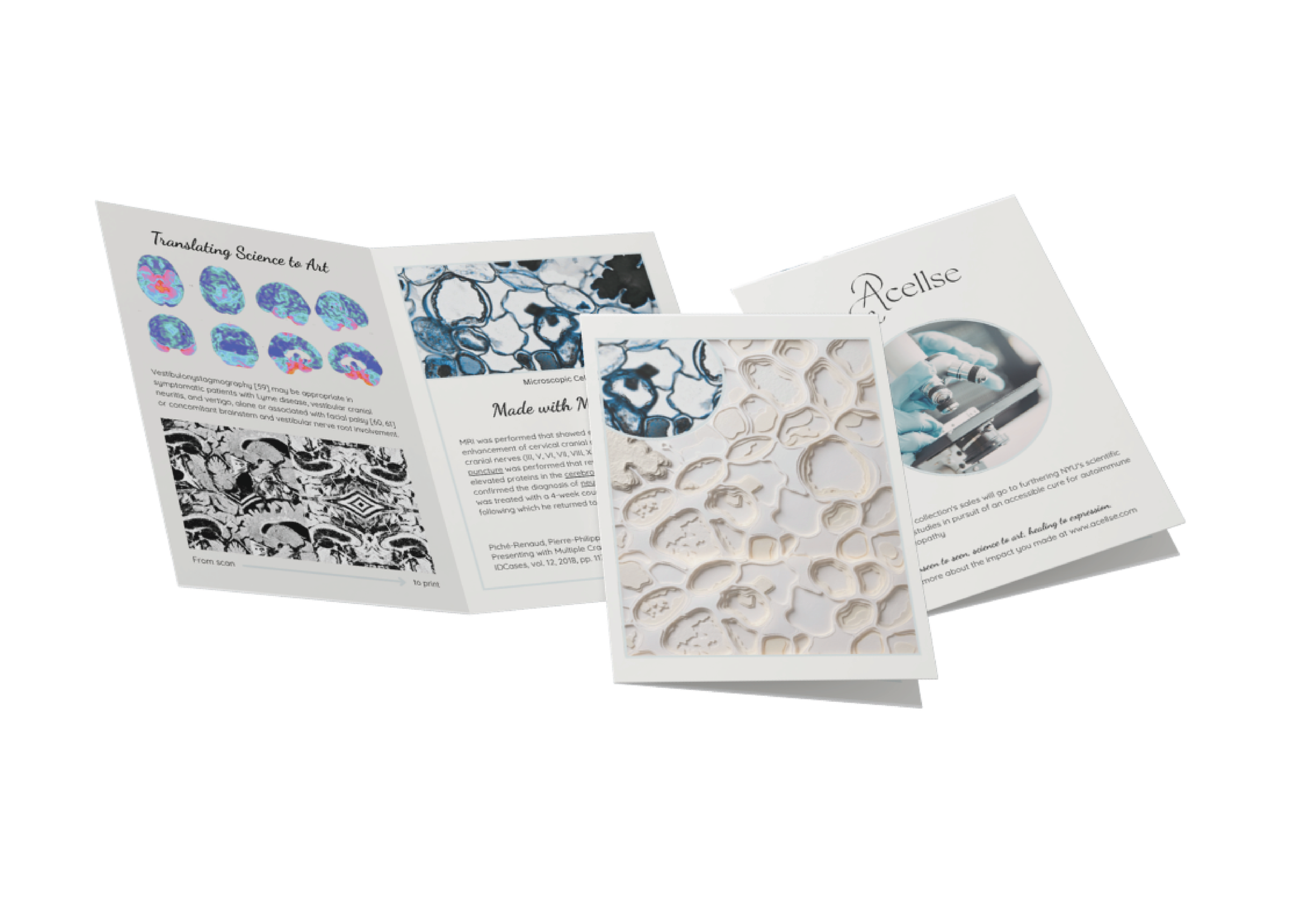 AcellseBranding(Capstone)_Pamphlet Mockup.png