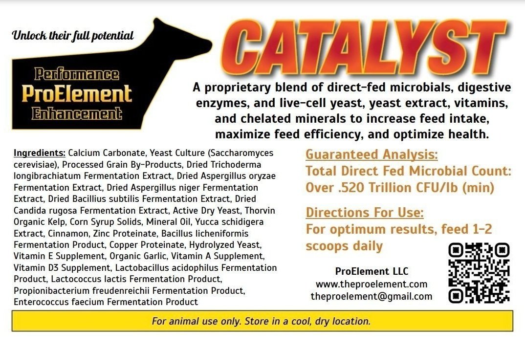 CATALYST - 15 lb Pail