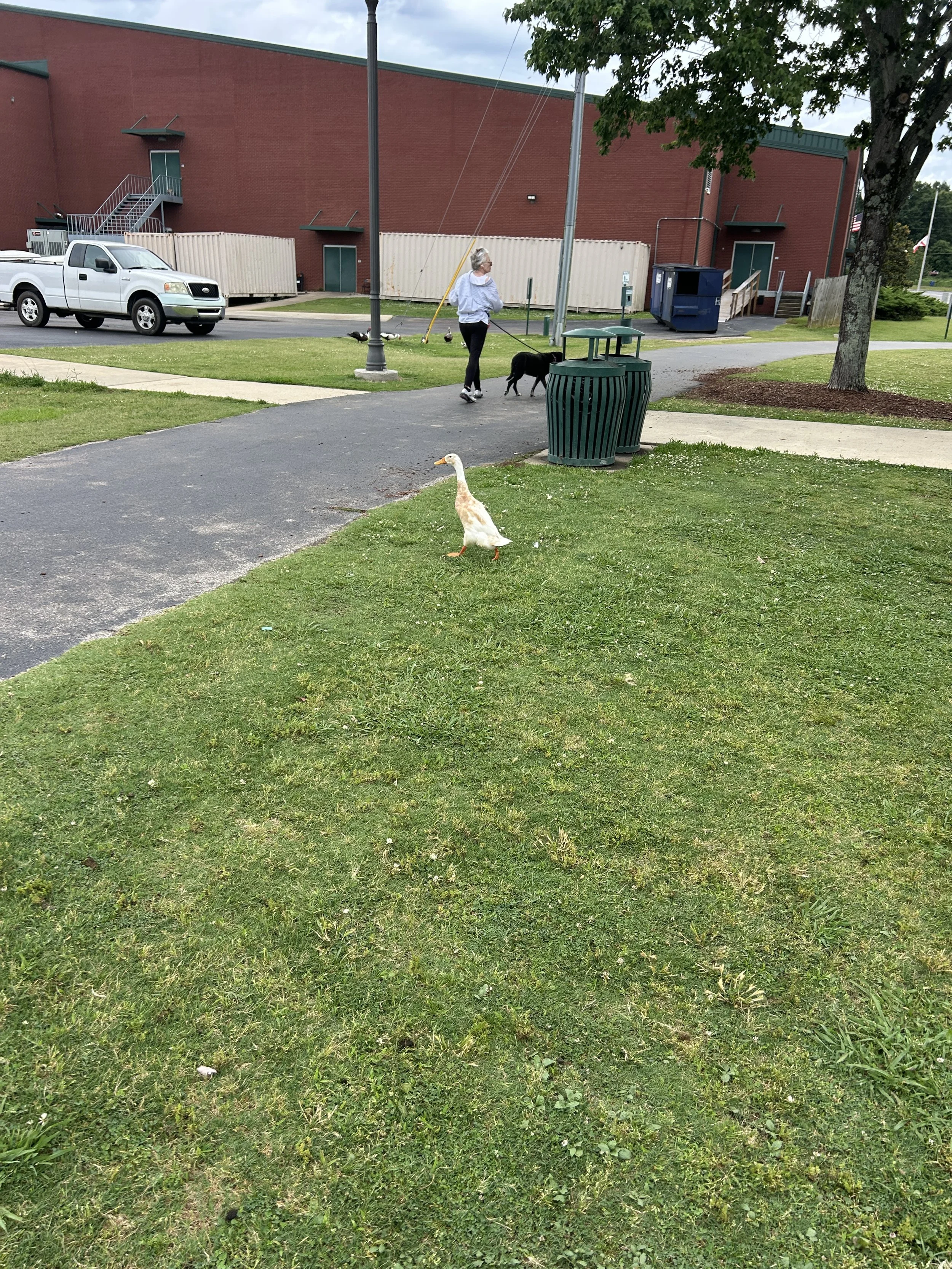 image2 (8).jpeg