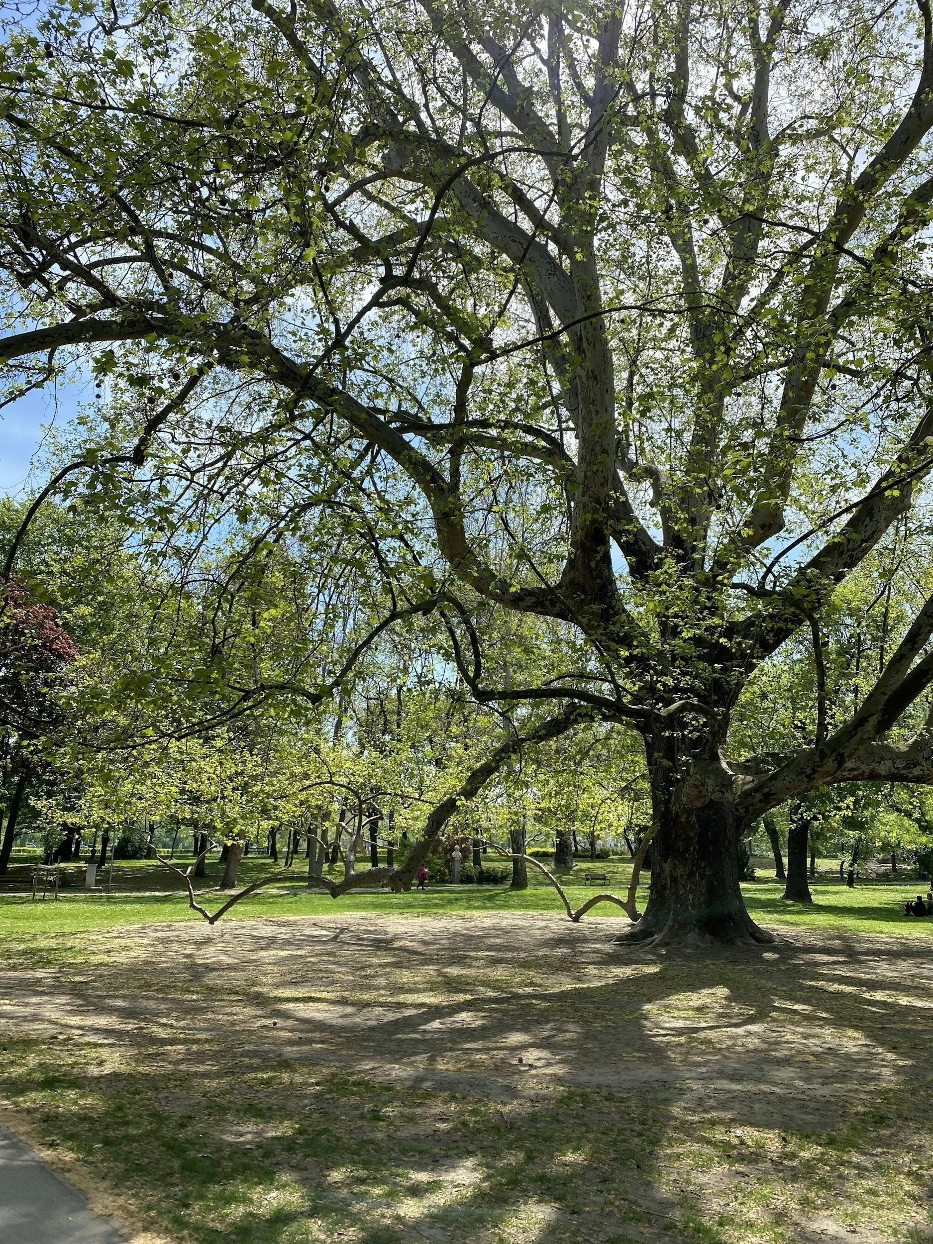 Baltimore City makes historic $41 million investment in recreation and green space