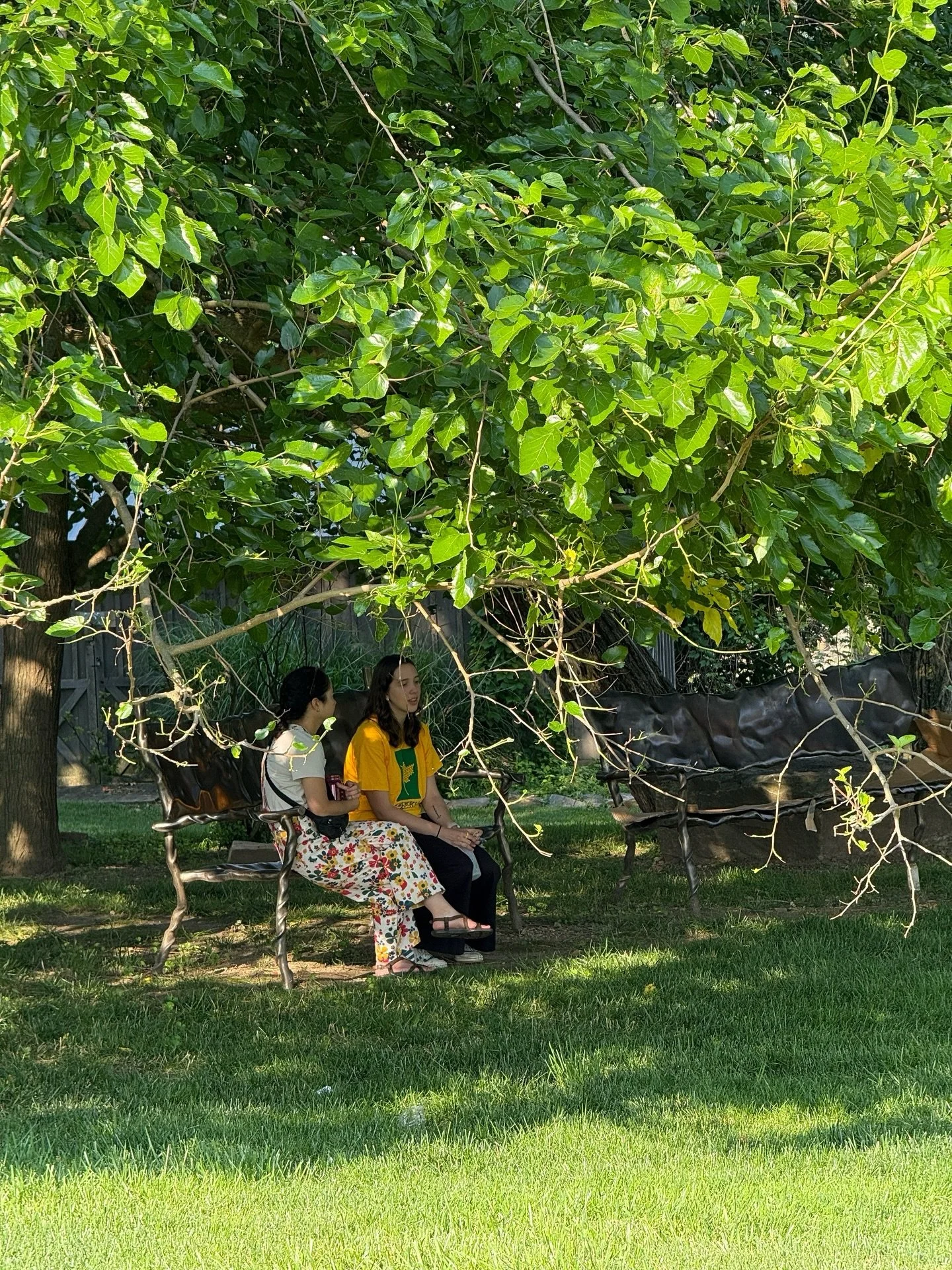 Do conversations in shaded places hit different? 

🌳 &ldquo;Green residential spaces are gathering places where neighbors form social ties that produce stronger, safer neighborhoods.&rdquo; 🌳

Where&rsquo;s your favorite green space to gather in?

