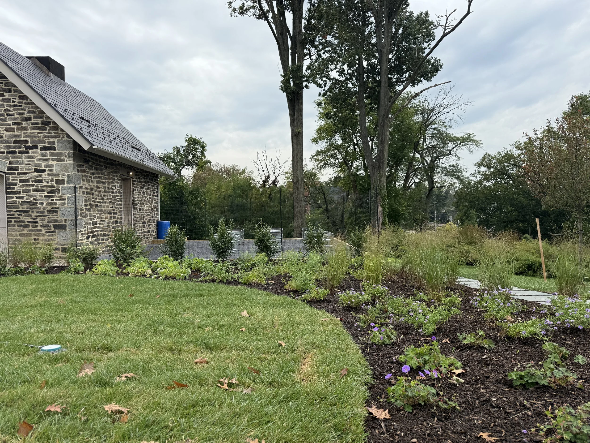 Jonnas Garden_progress_044.JPG