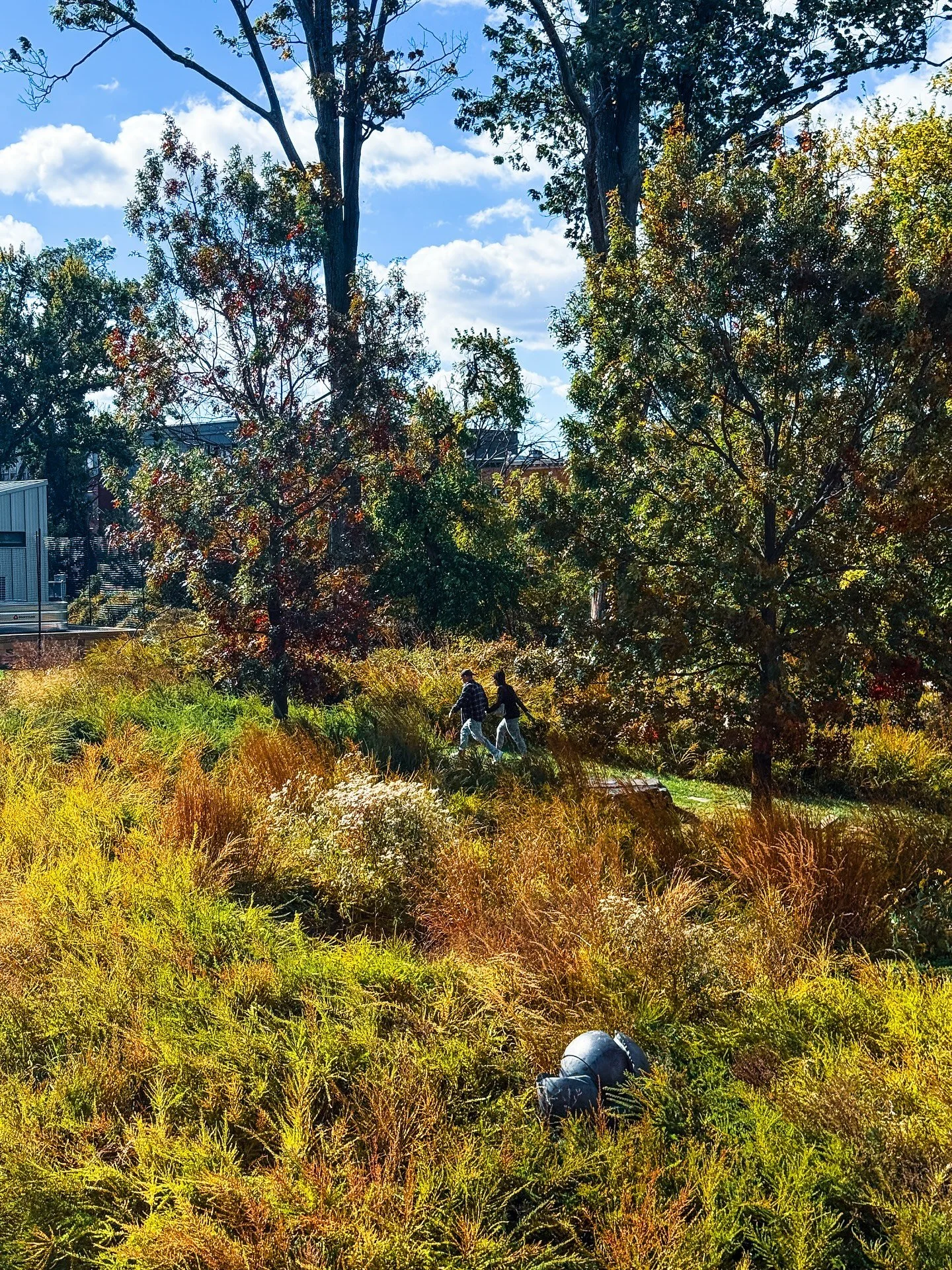 Watching autumn leaves changing colors in our community parks and green spaces is a wonder to behold. 🍁🍂 Like this post if you agree 🧡

#parksandpeople #wherewondergrows #fallseason #communityspace #parks #baltimorecity #greenspace #autumncolours