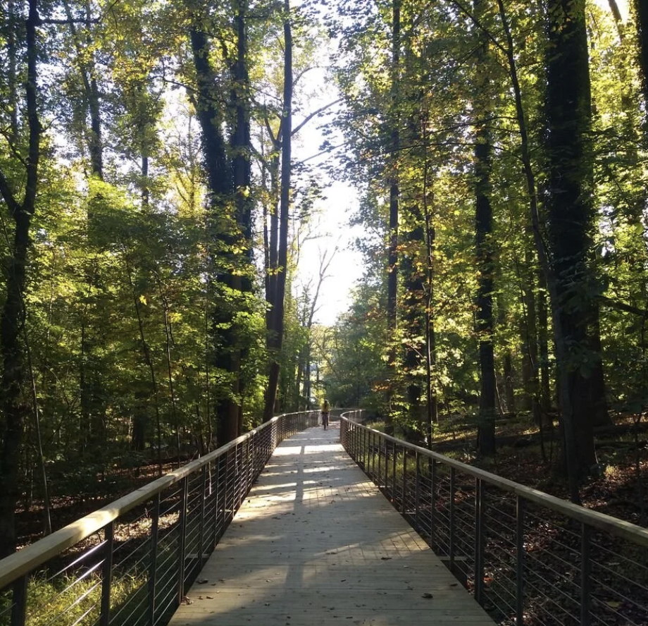Gwynns Falls Trail