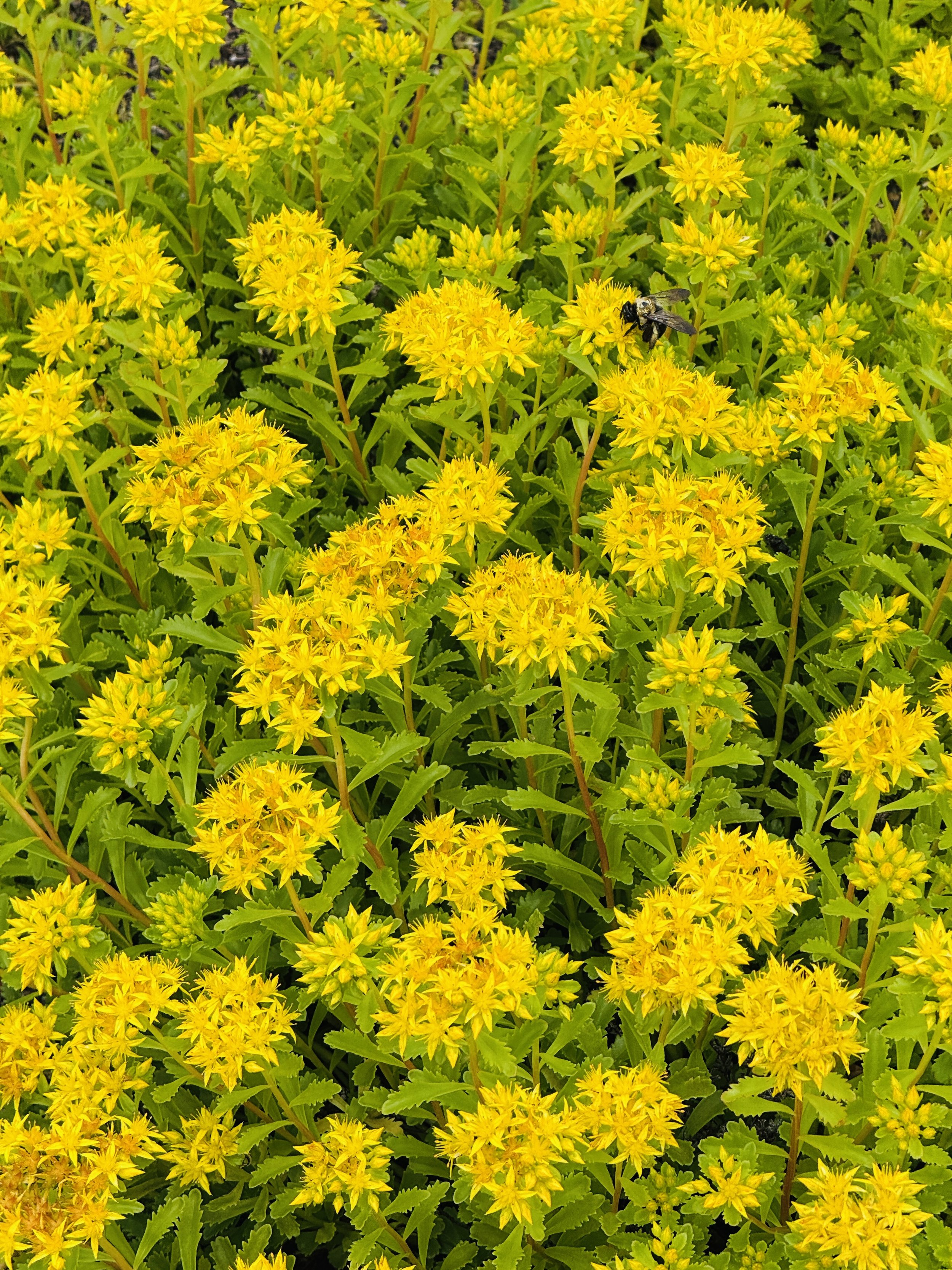 Nature is a force/Water is a movement: Poetry Open Mic Night