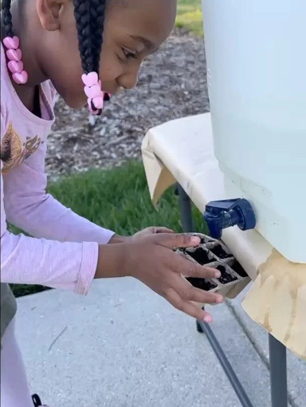 To empower Baltimore residents with the tools and knowledge to transform their outdoor spaces into thriving urban oases, we&rsquo;re inviting you to our Wonder-Full Backyards Seed Swap!

If you joined us for the first Backyard Garden session now&rsqu