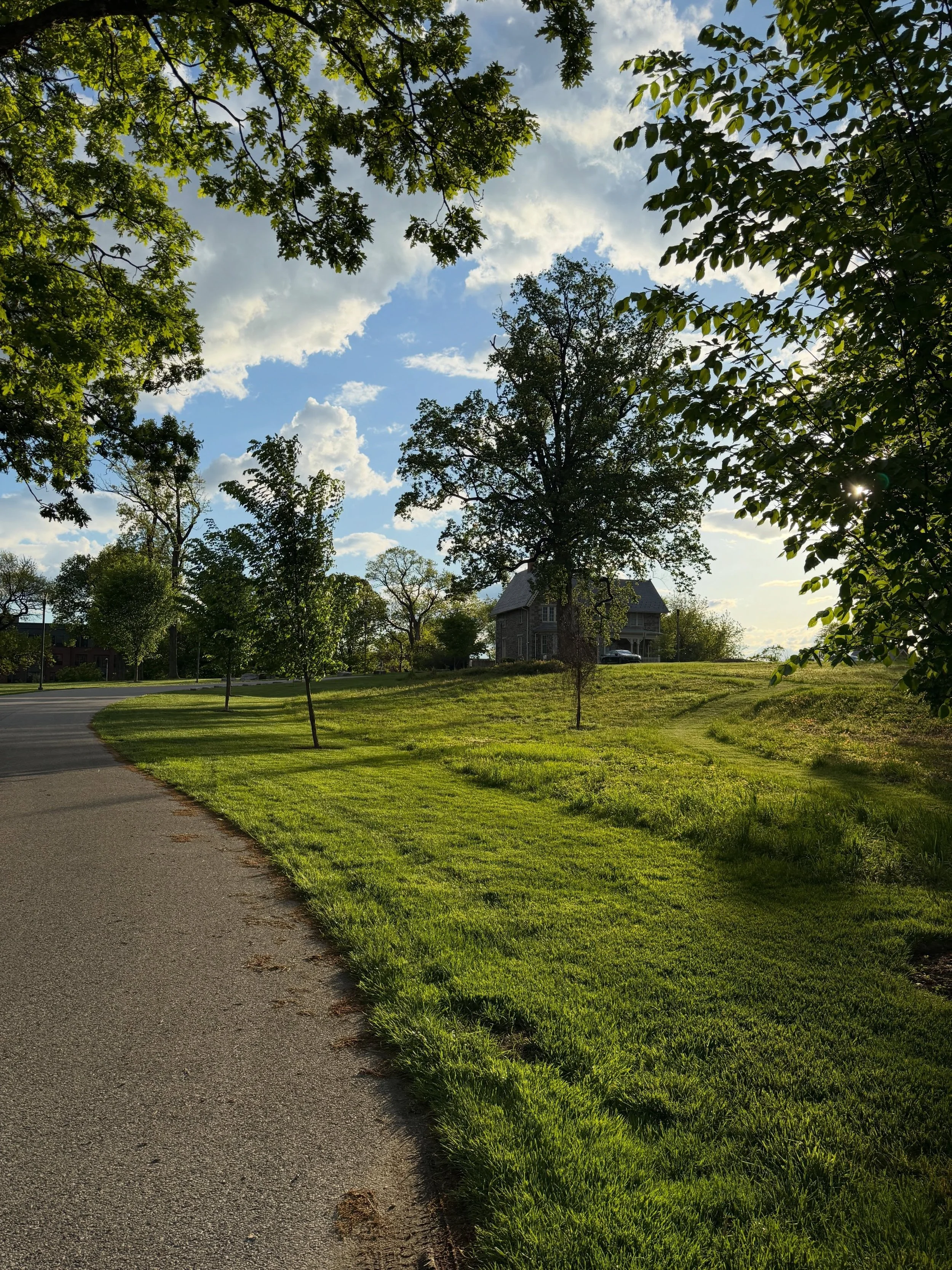 This must be the place 

Campus bathed in evening light filtered through green leaves, I am reminded no filter is needed only presence&mdash;a little time and a watchful eye to capture the moment. 

#wherewondergrows #baltimorecity #parksandgreenspac