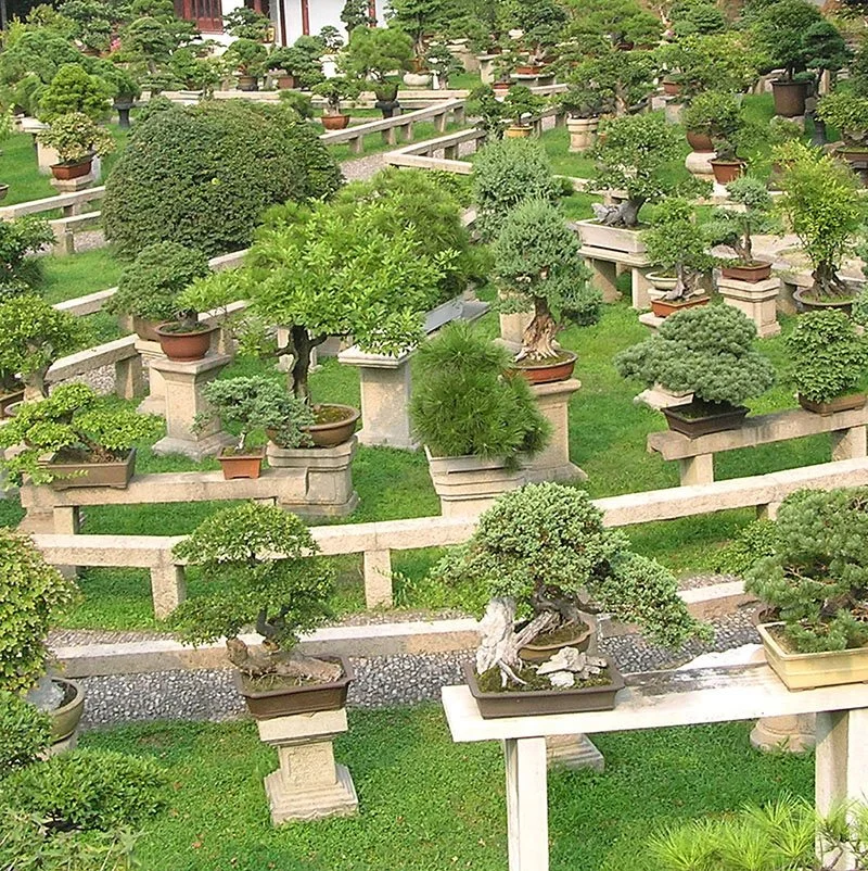 1000 Trees designed by Heatherwick Studio