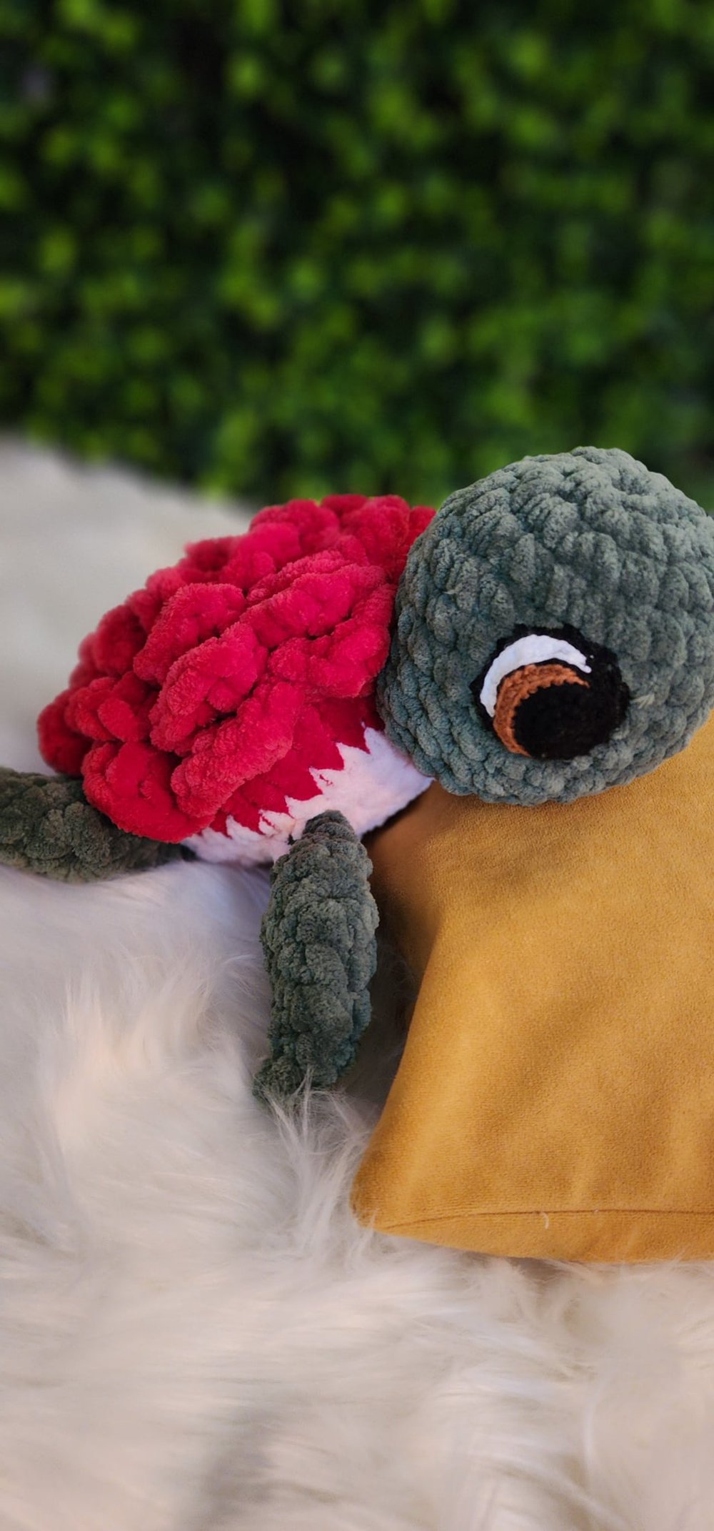 Rose sea turtle