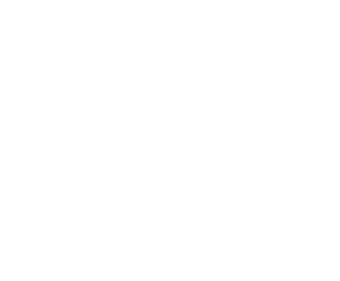 Wild Tulips Denver Logo