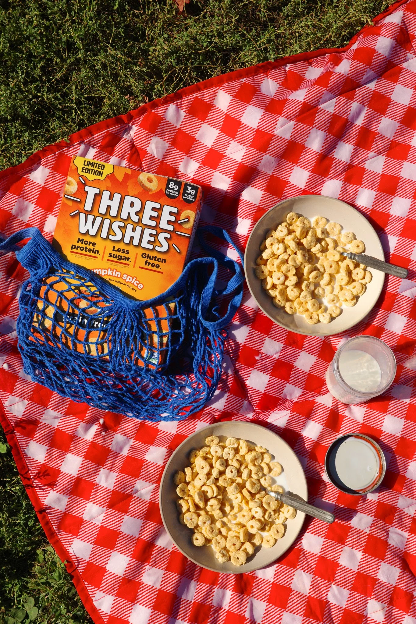 Pumpkin Picnic_Chelsea Crane copy.jpg